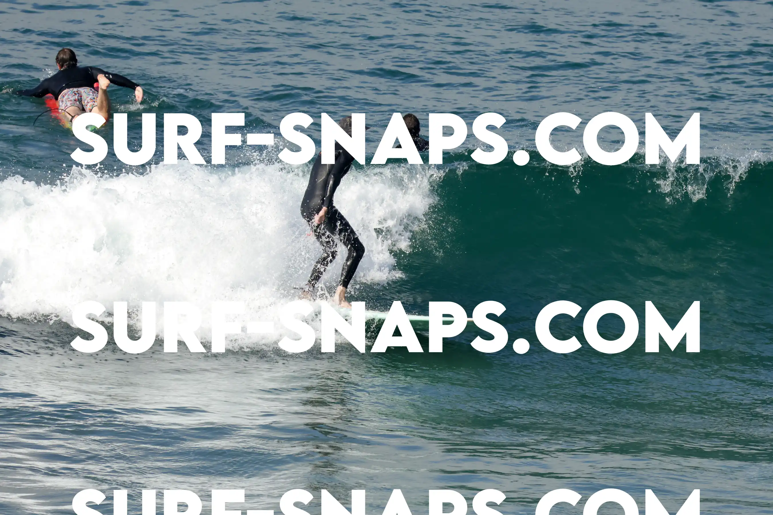 Tourmaline Surfing Park photo 290