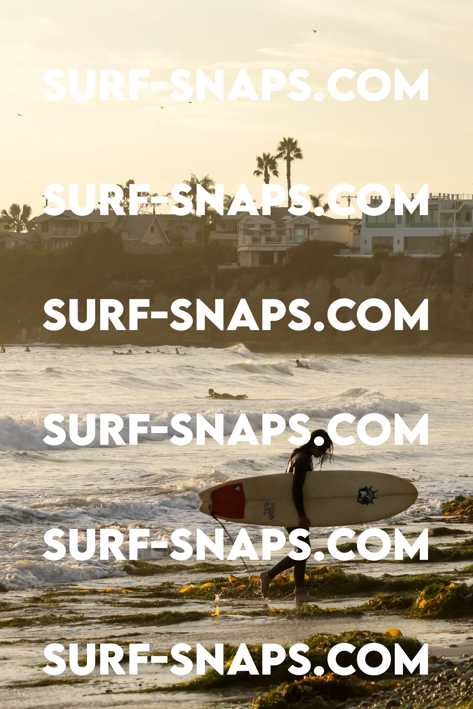 tourmaline Surf park photo 348