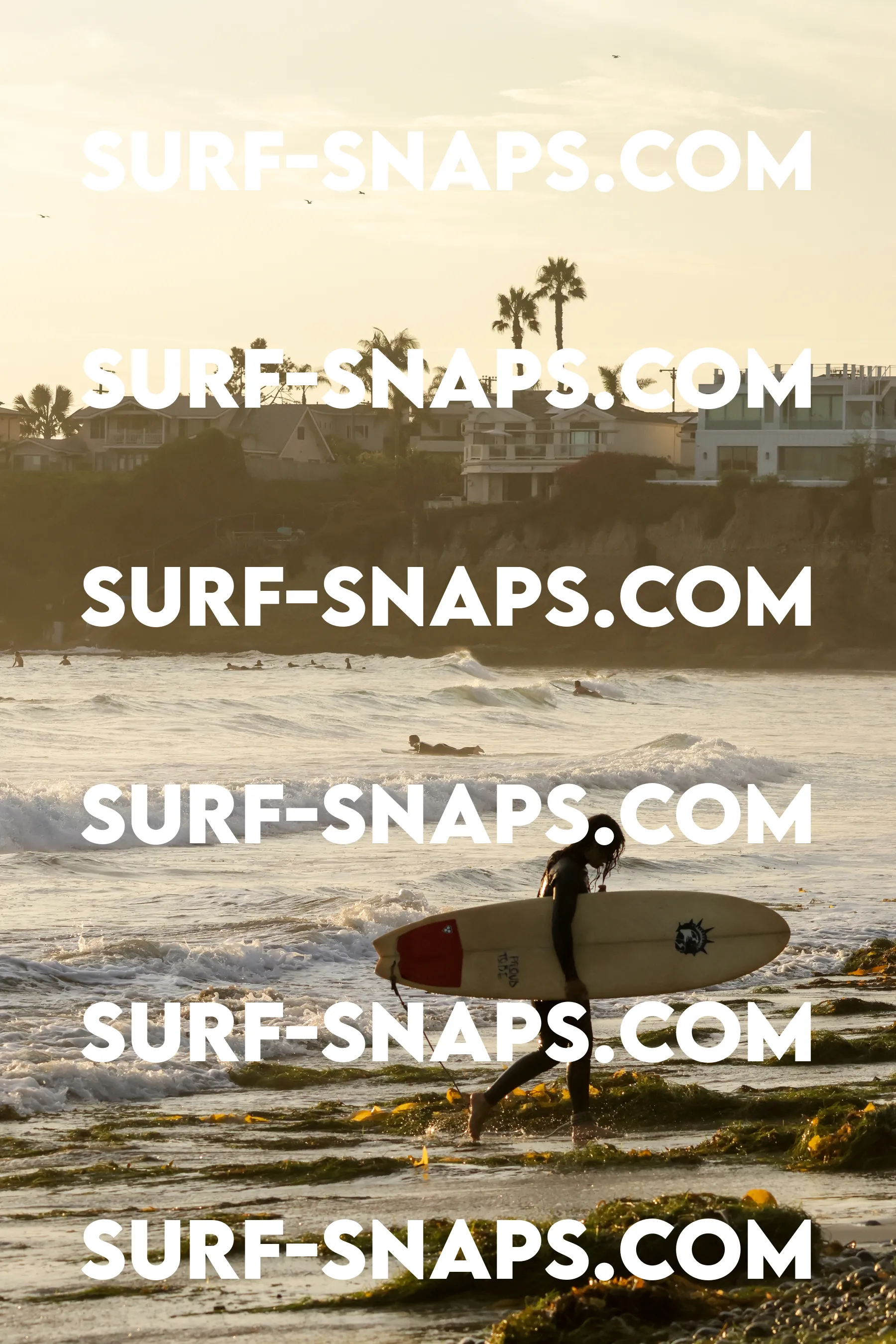 tourmaline Surf park photo 347