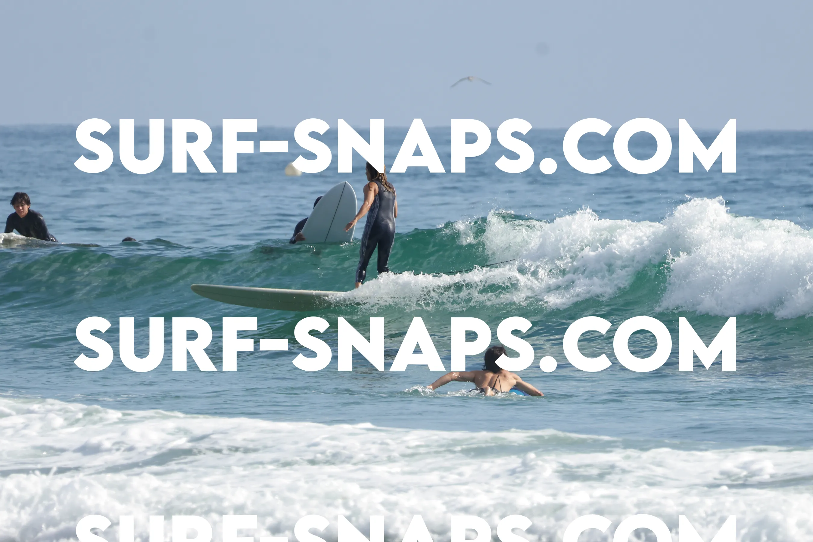 tourmaline Surf park photo 109