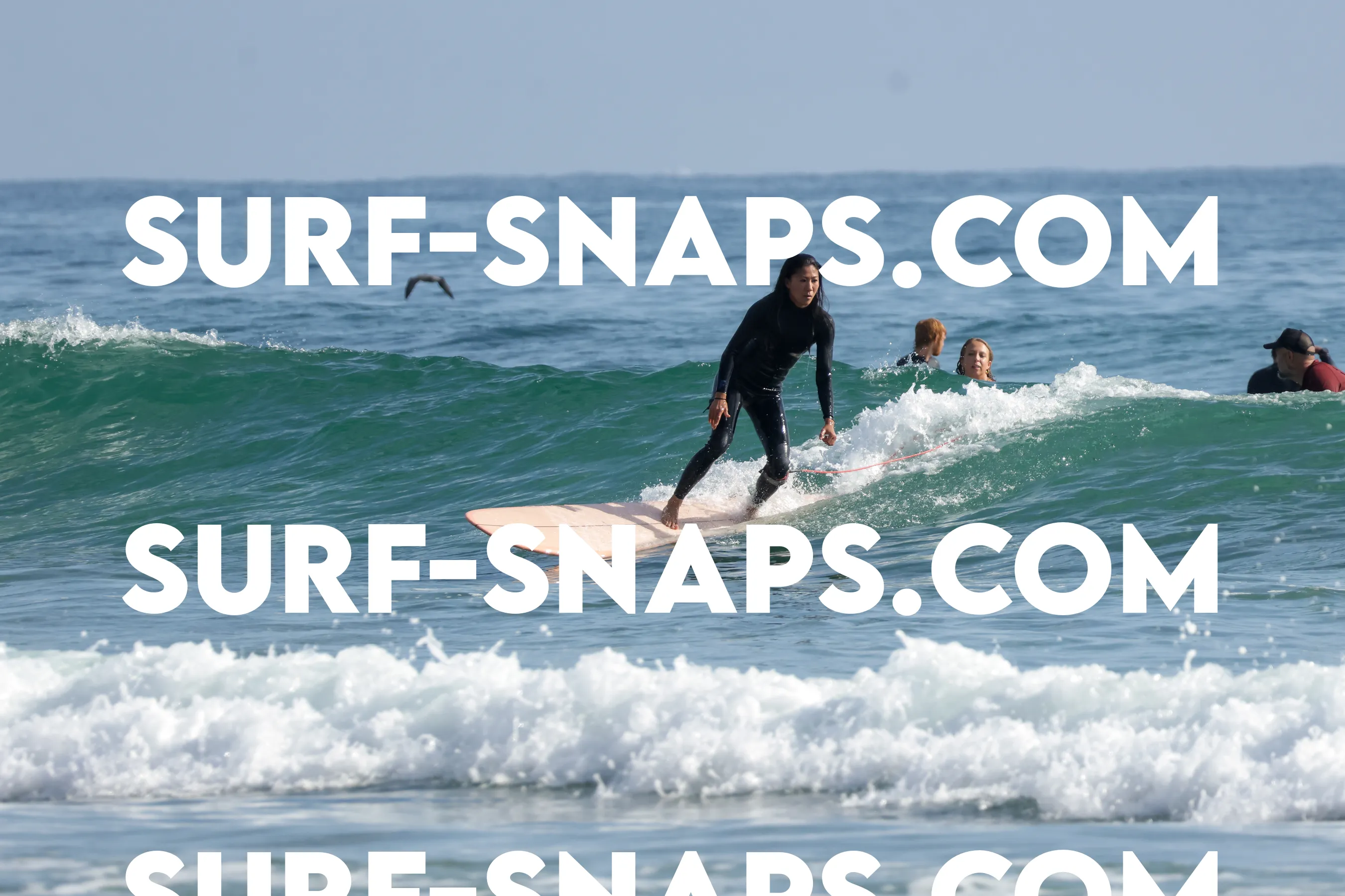 tourmaline Surf park photo 371
