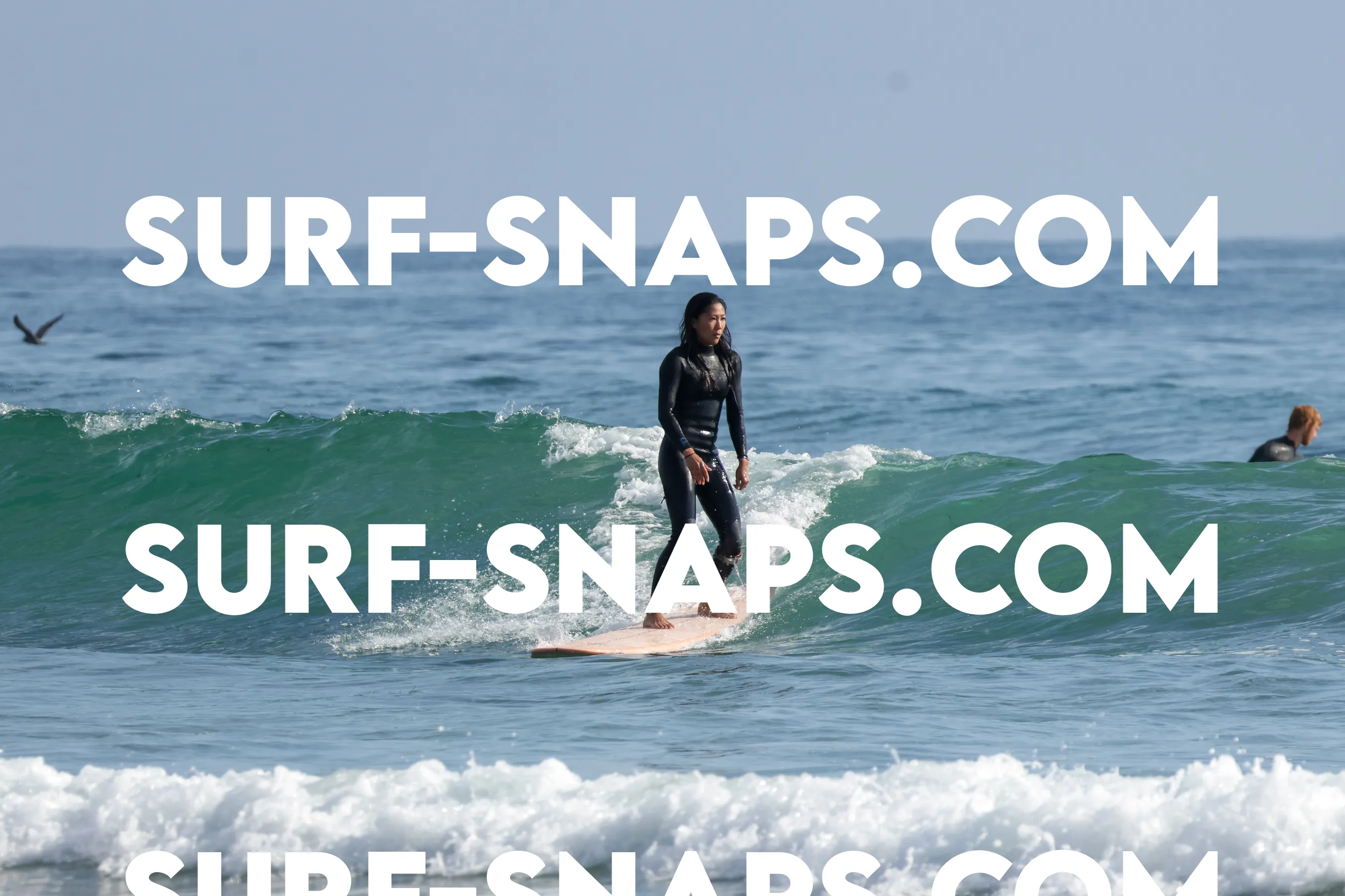 tourmaline Surf park photo 373