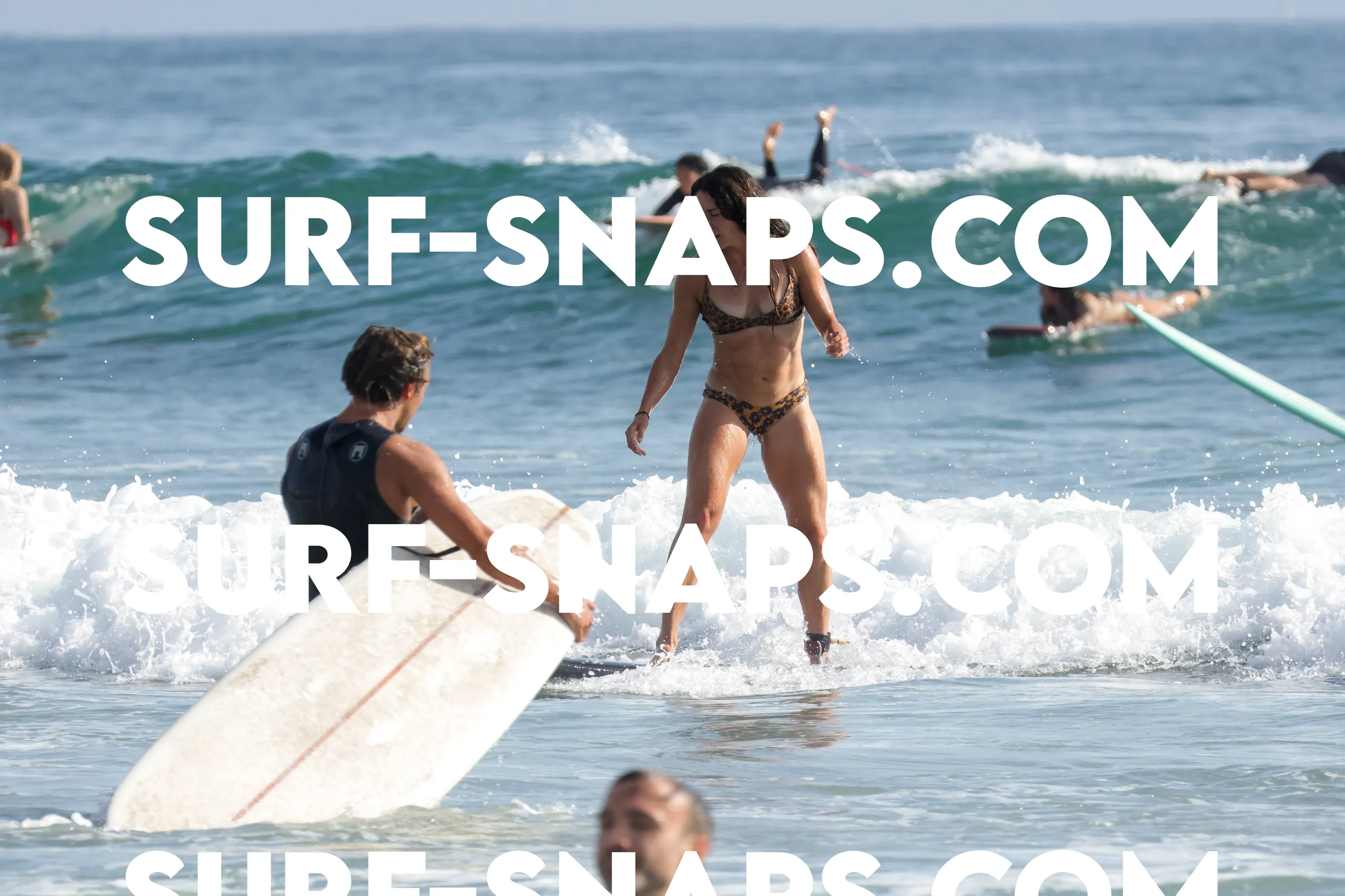 tourmaline Surf park photo 471