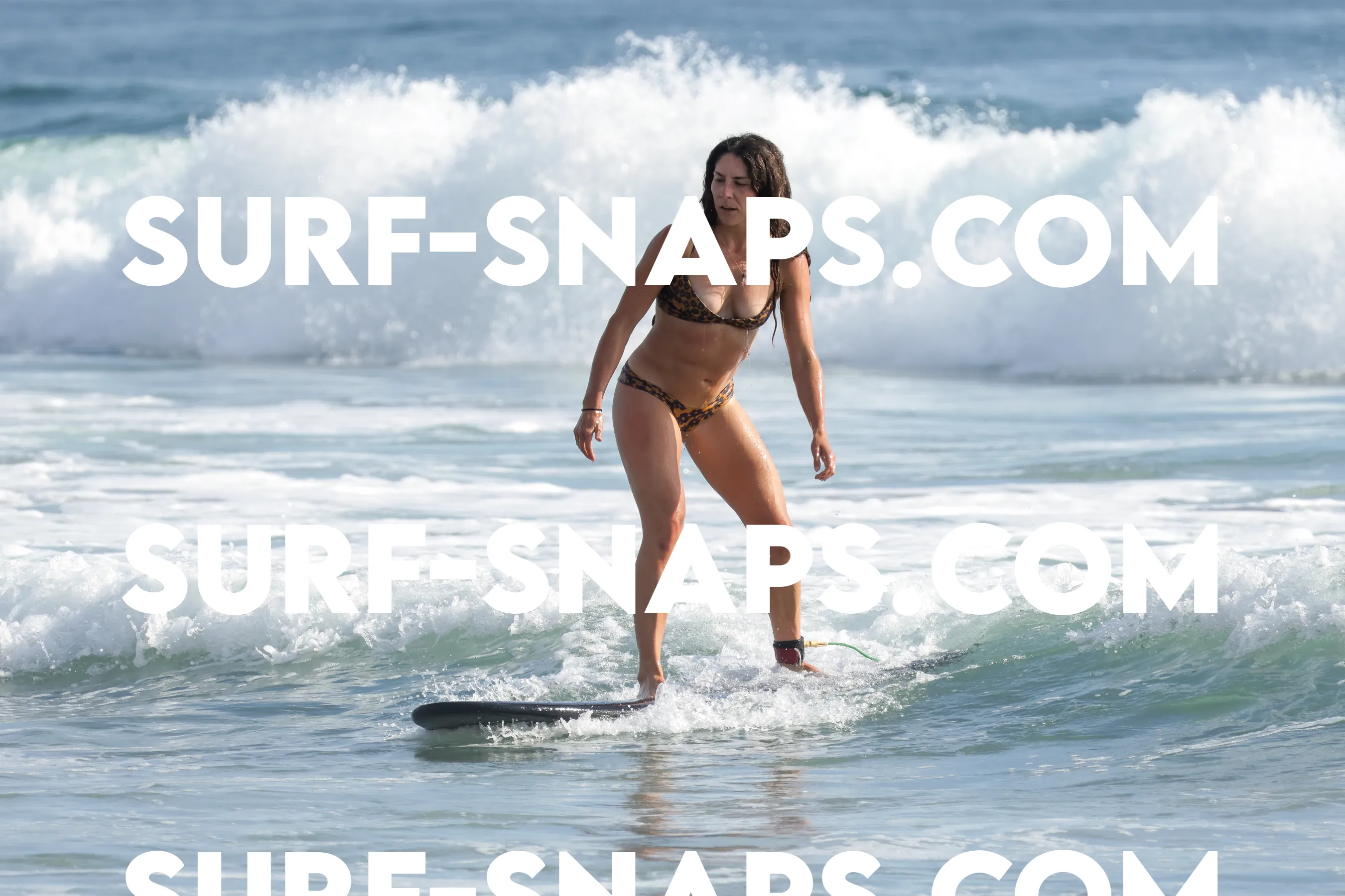tourmaline Surf park photo 481