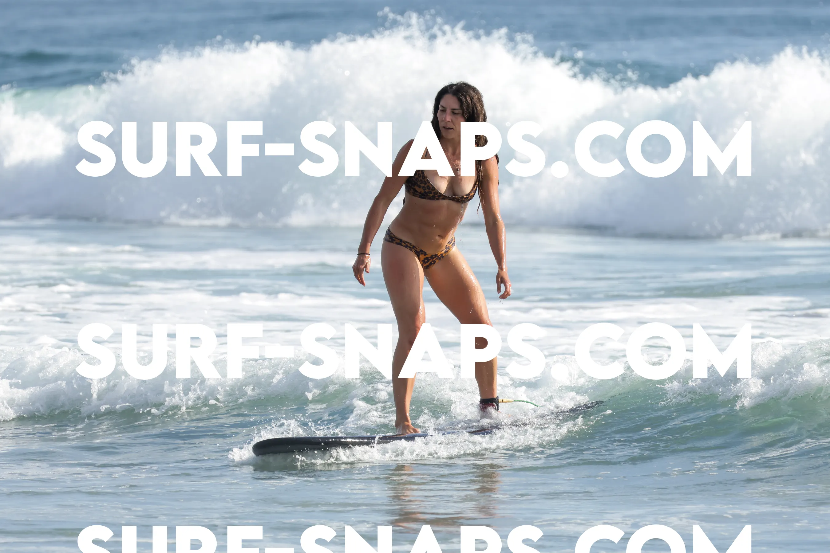 tourmaline Surf park photo 482