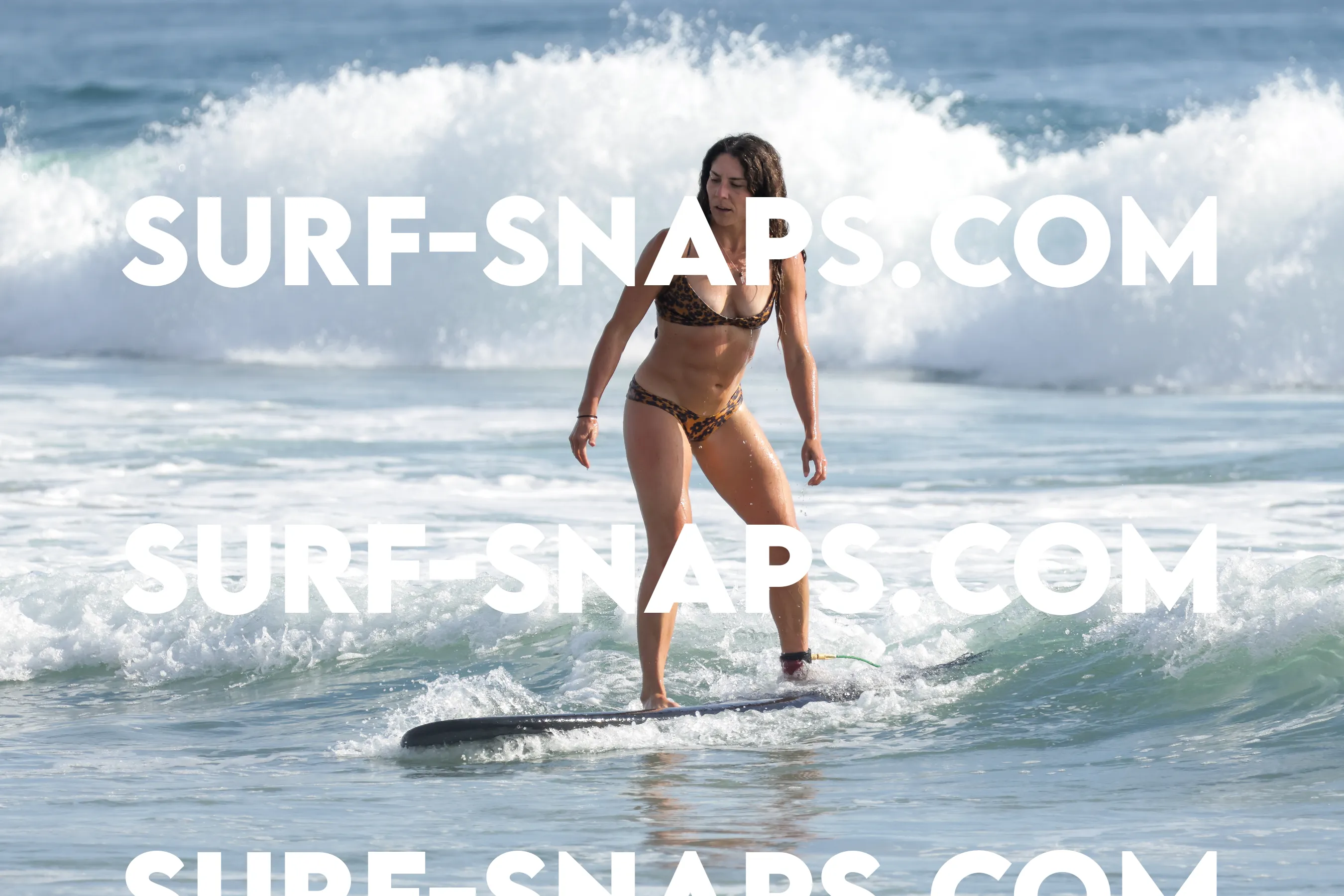tourmaline Surf park photo 483