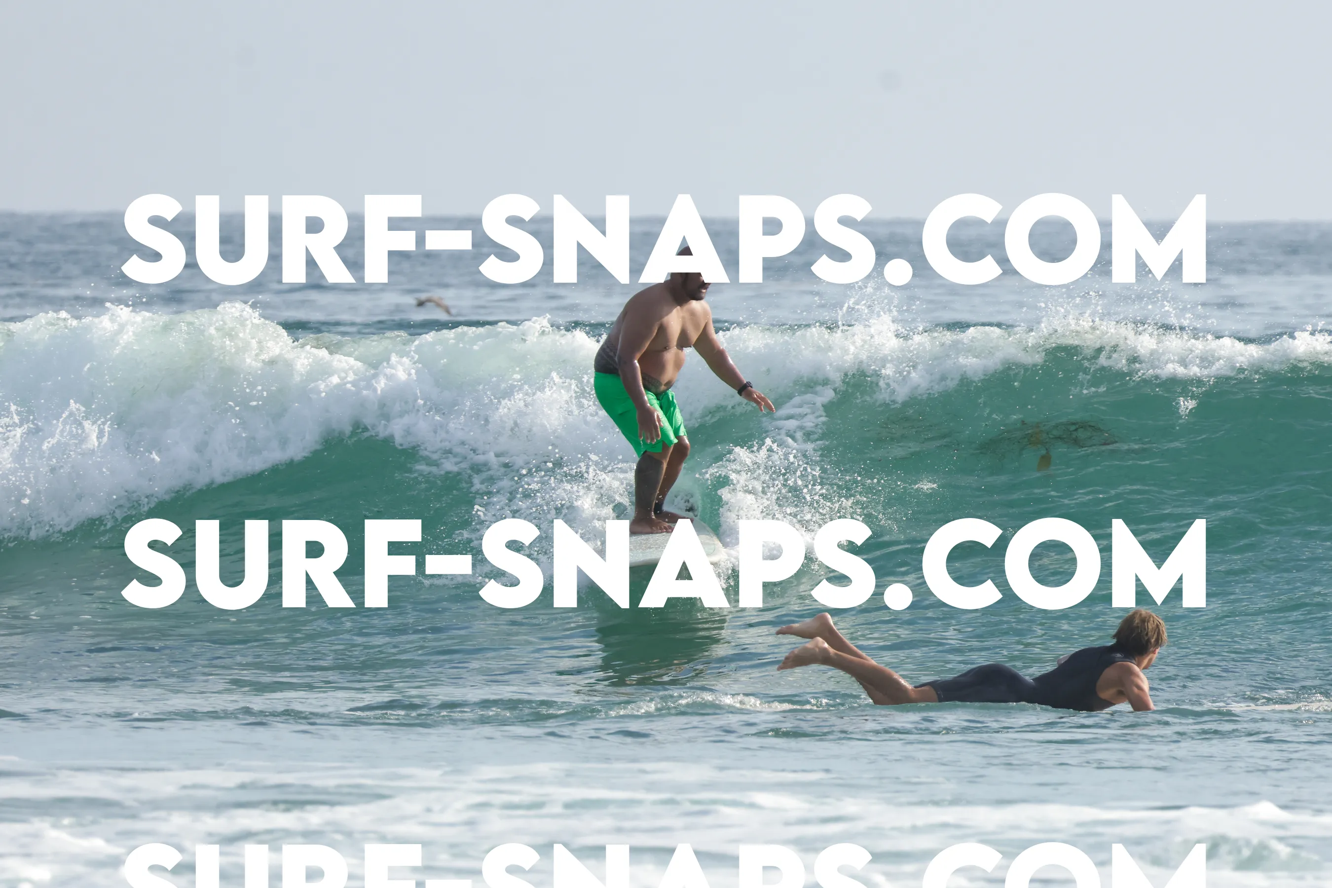 tourmaline Surf park photo 349