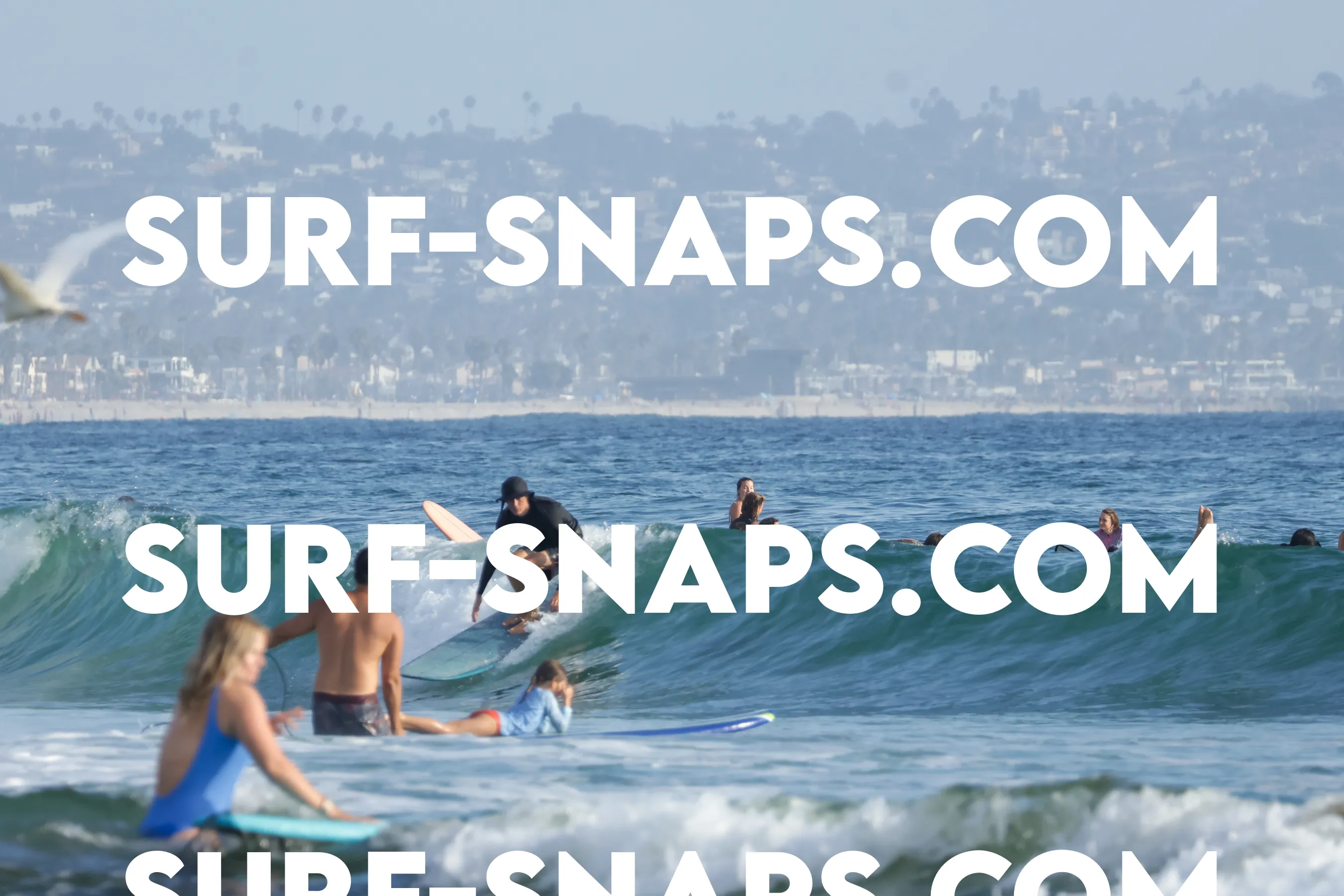 tourmaline Surf park photo 36