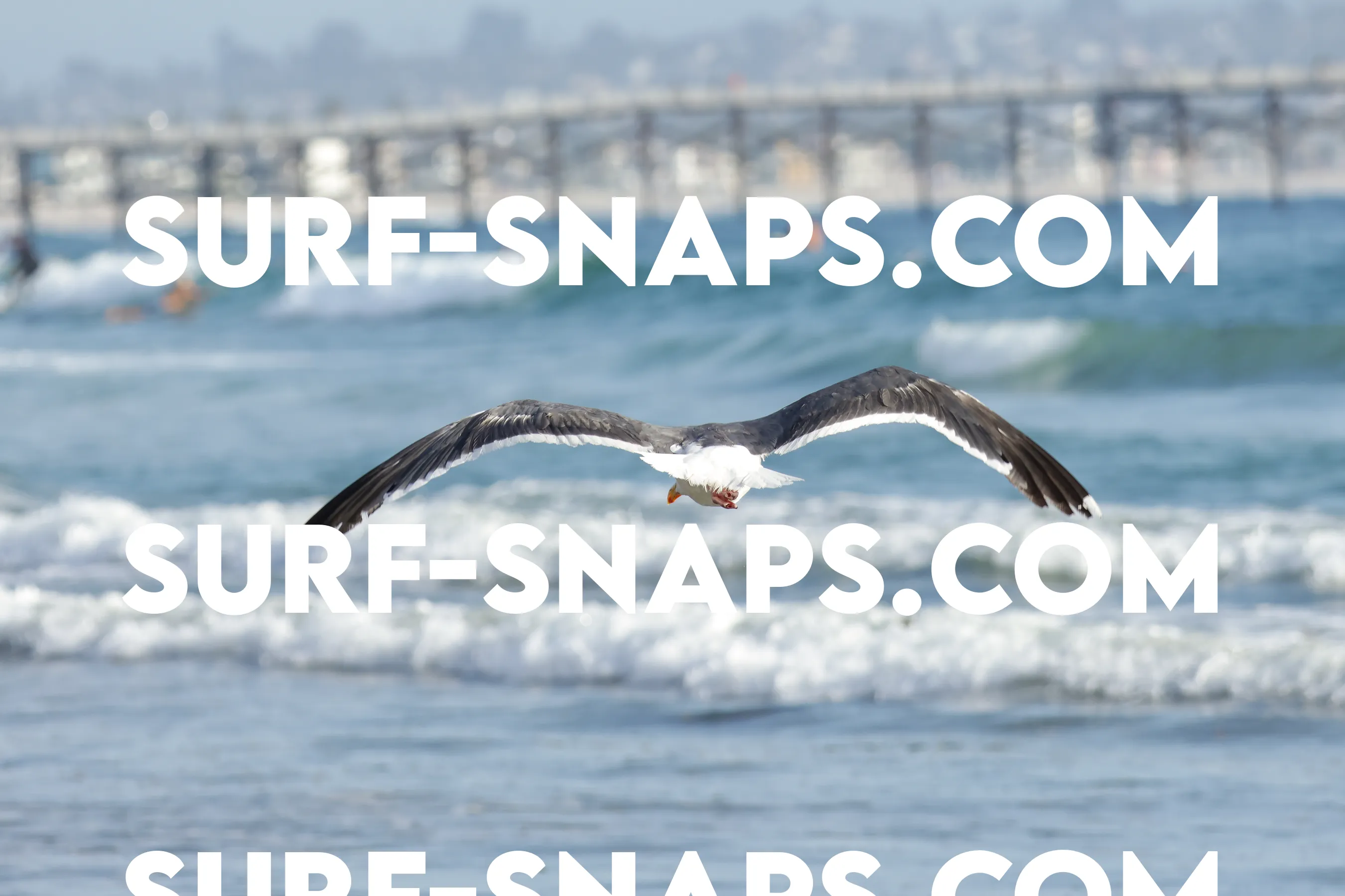 tourmaline Surf park photo 126