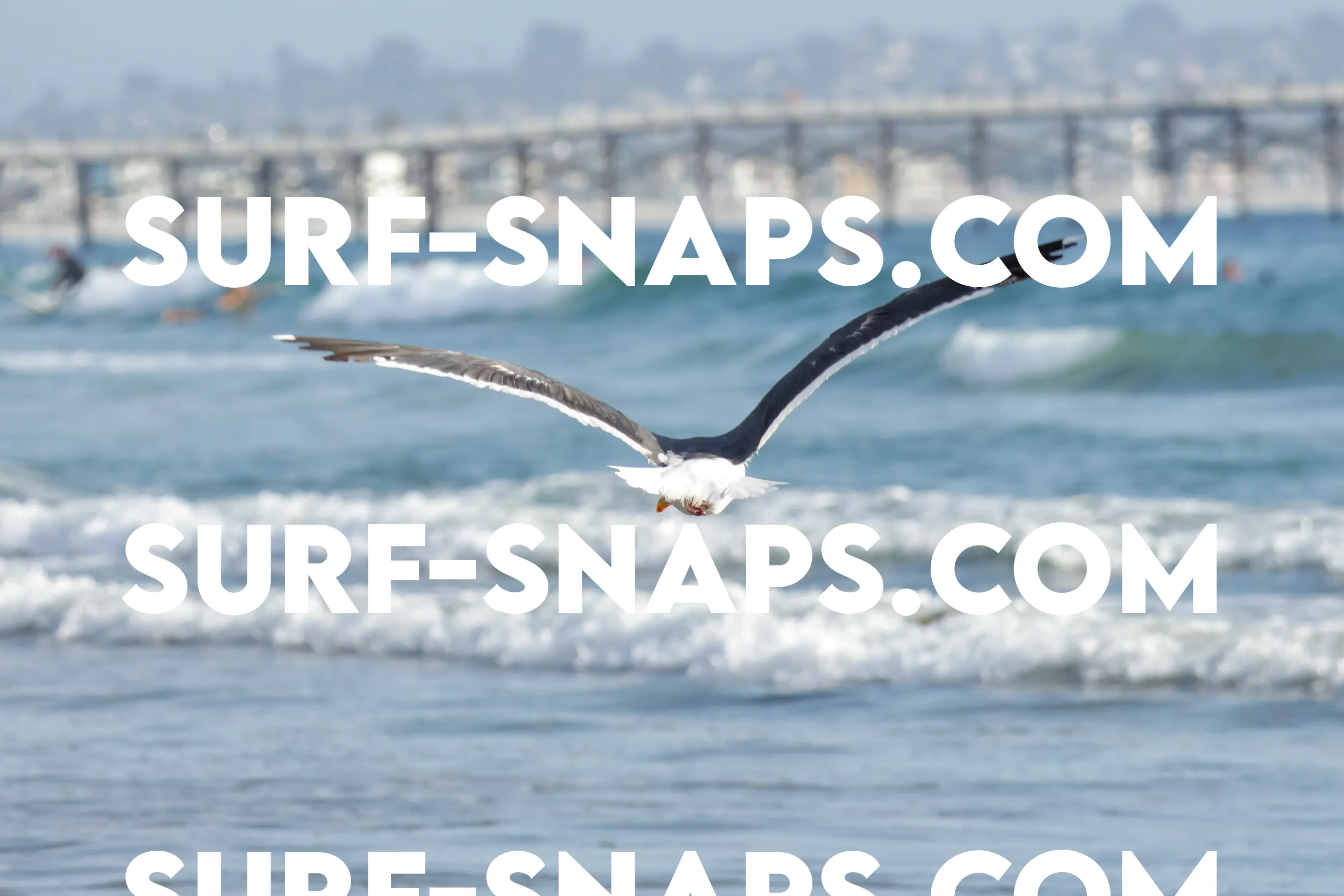 tourmaline Surf park photo 127