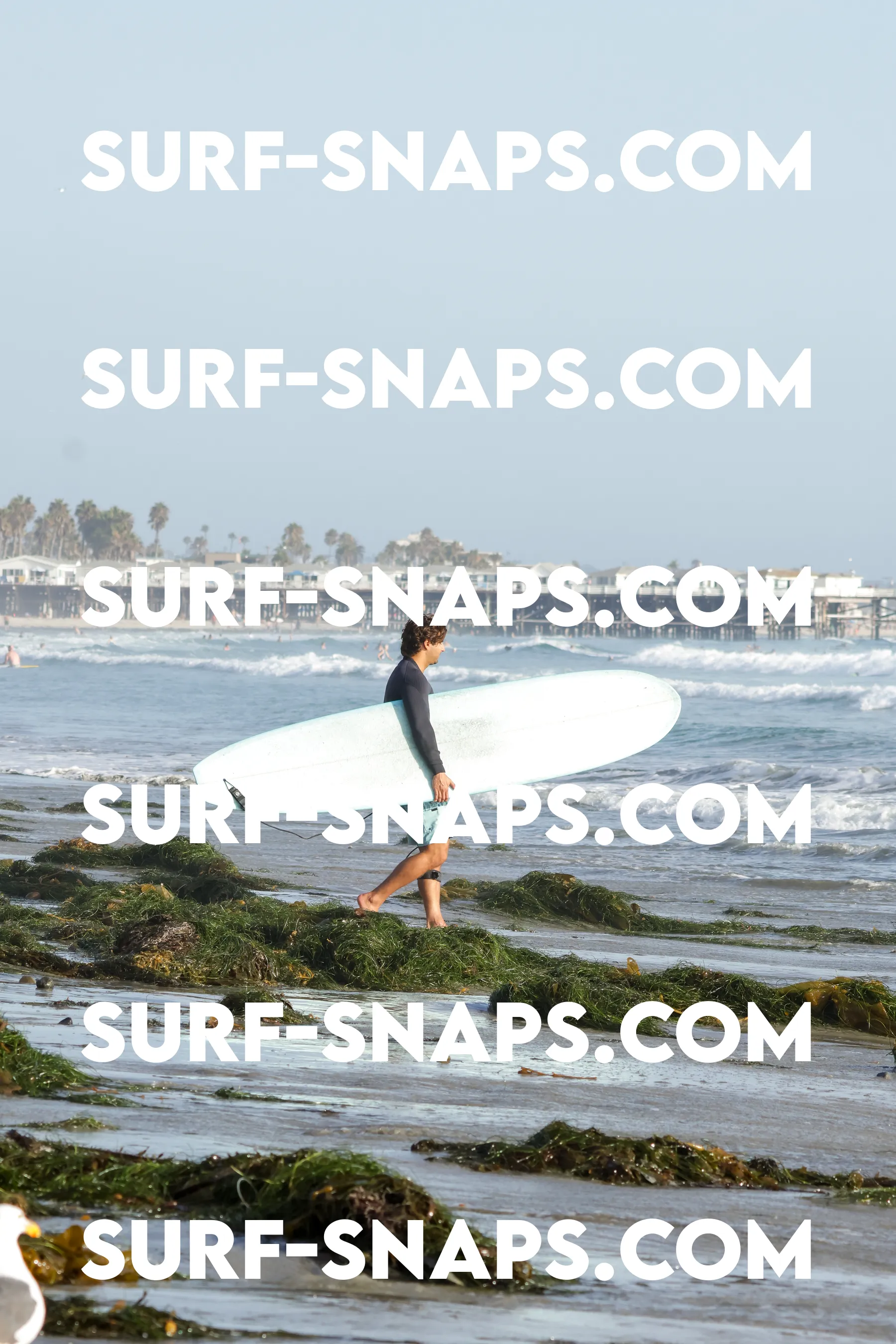 tourmaline Surf park photo 319