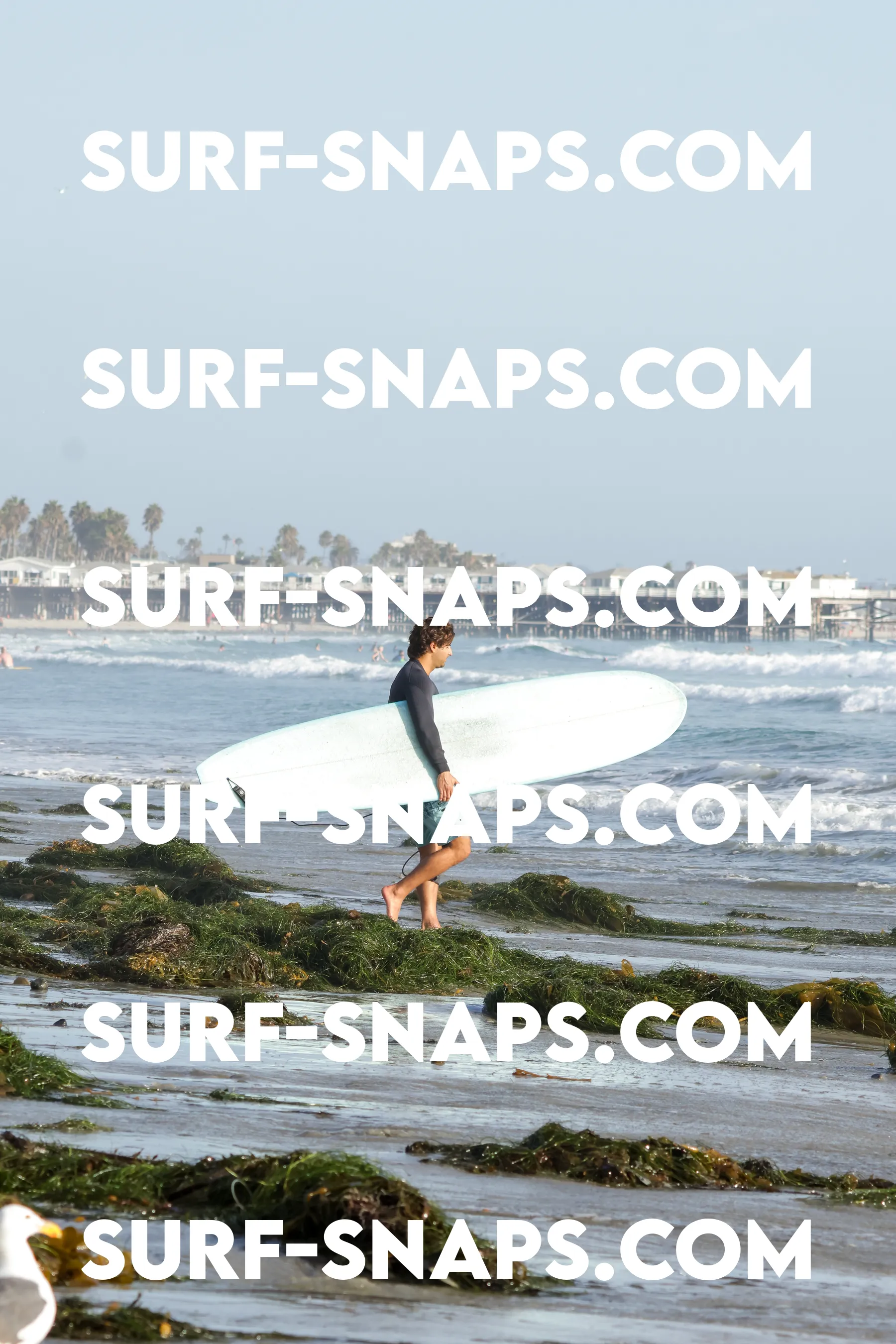 tourmaline Surf park photo 320