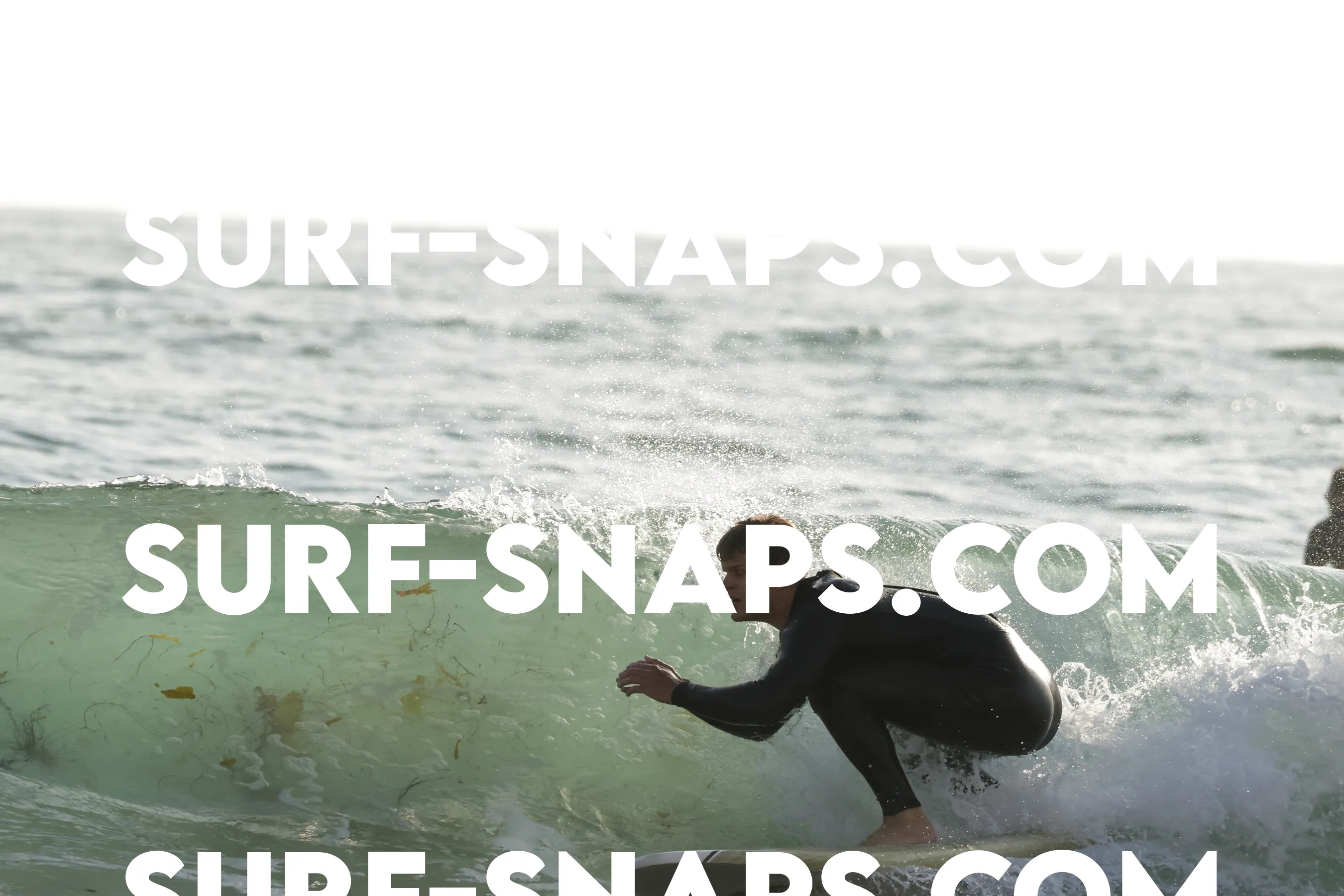 tourmaline Surf park photo 493
