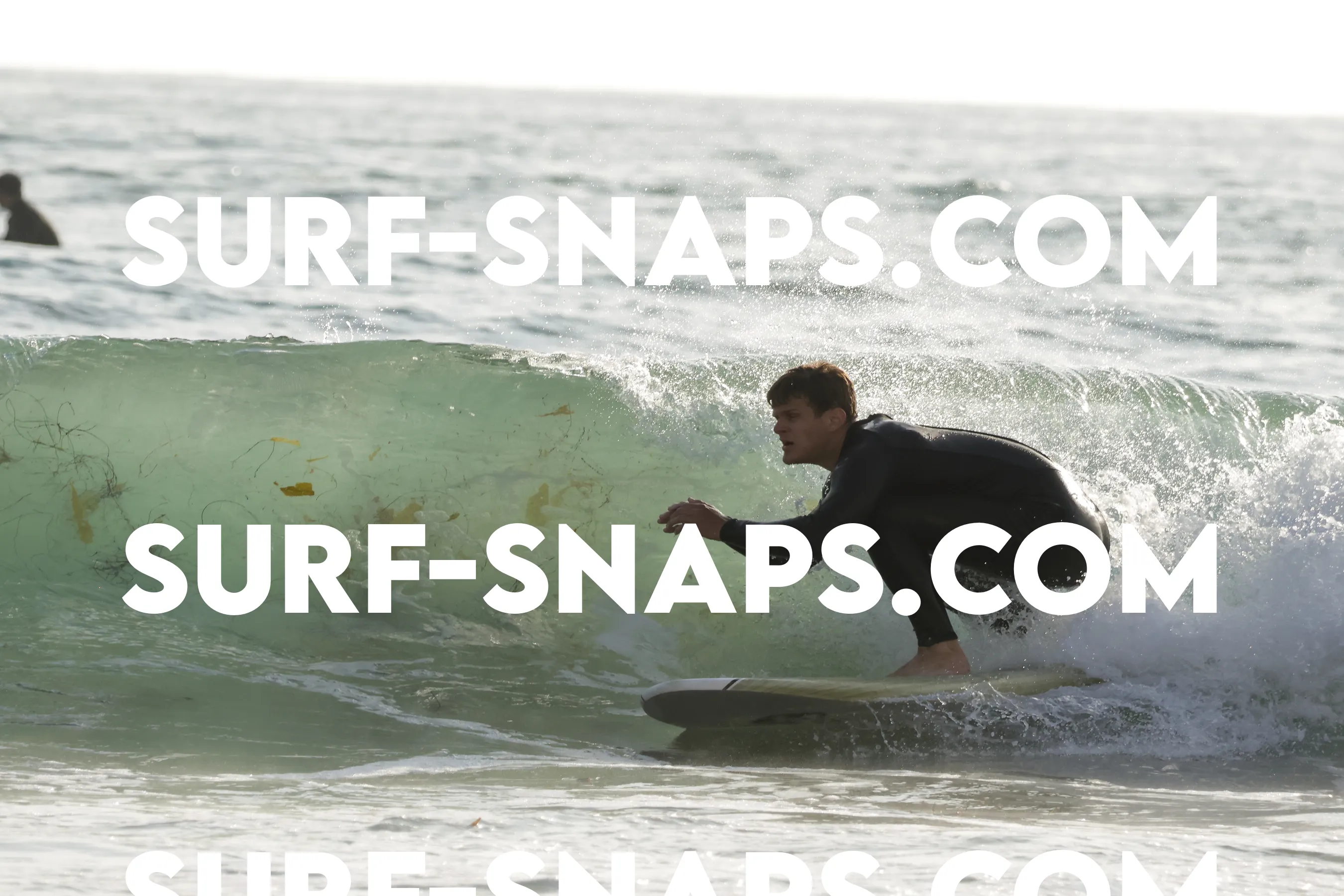 tourmaline Surf park photo 494