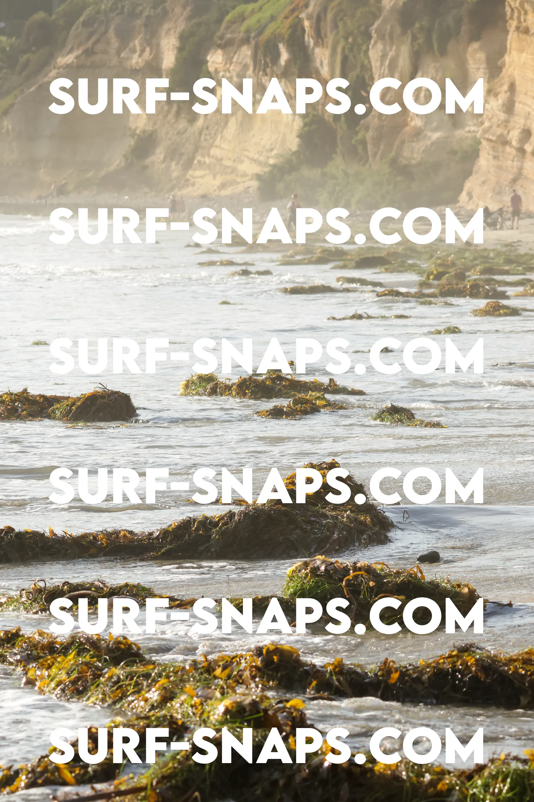 tourmaline Surf park photo 184