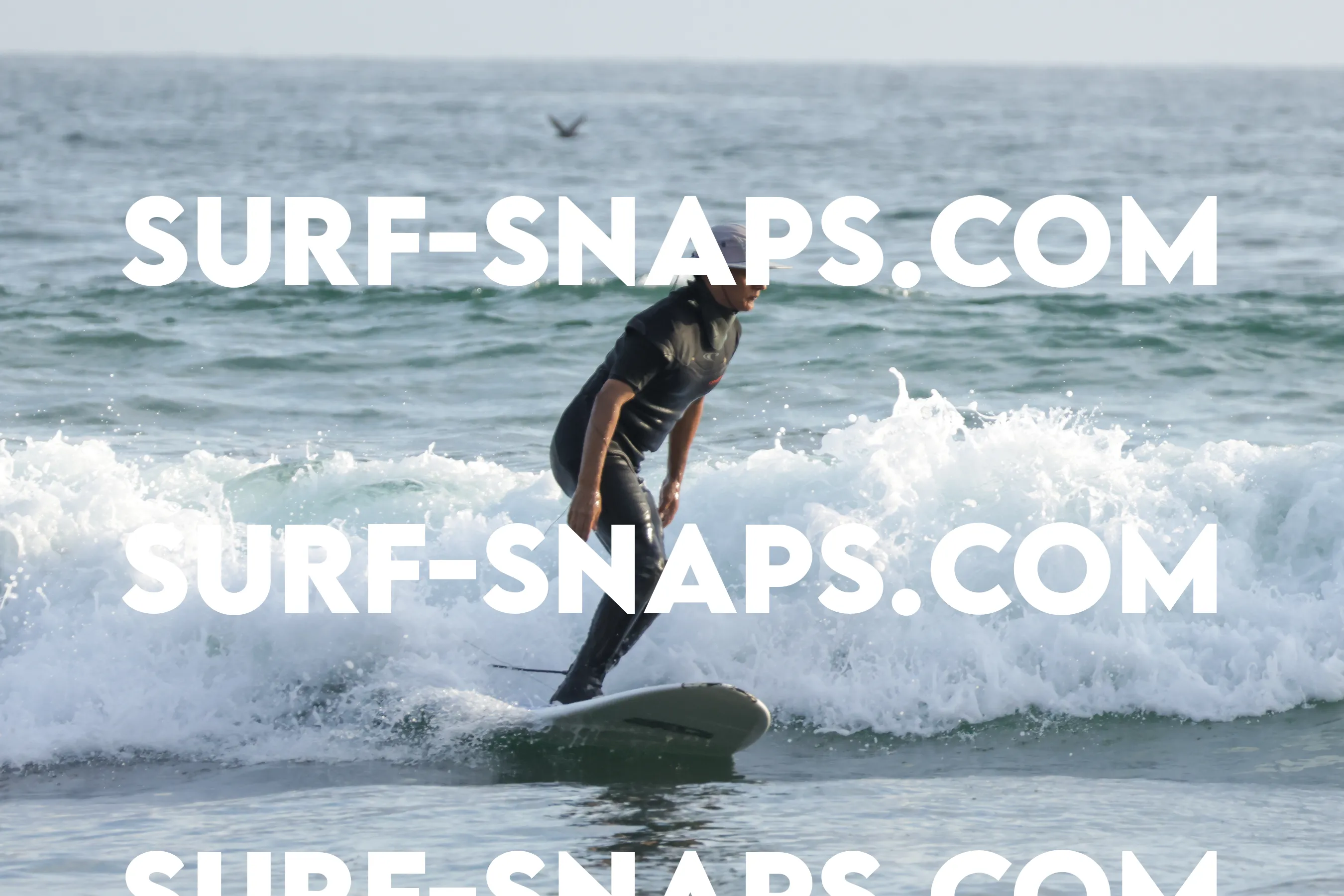 tourmaline Surf park photo 321