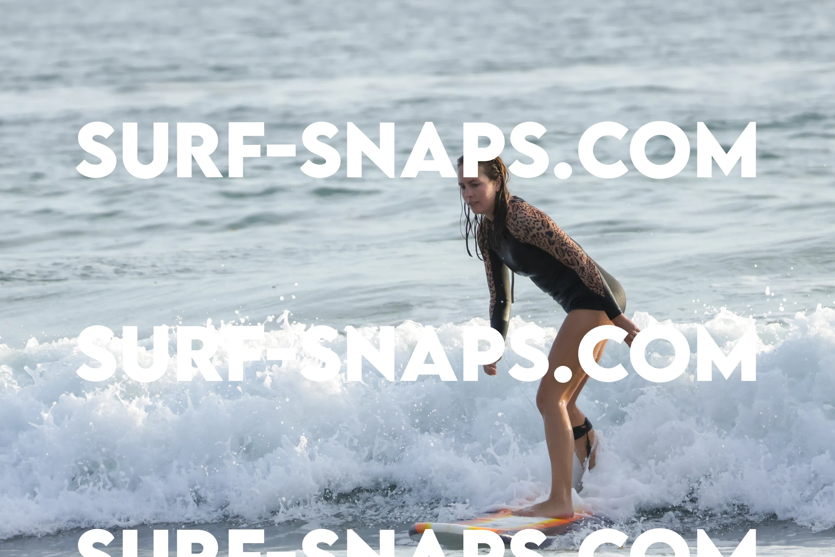 tourmaline Surf park photo 331