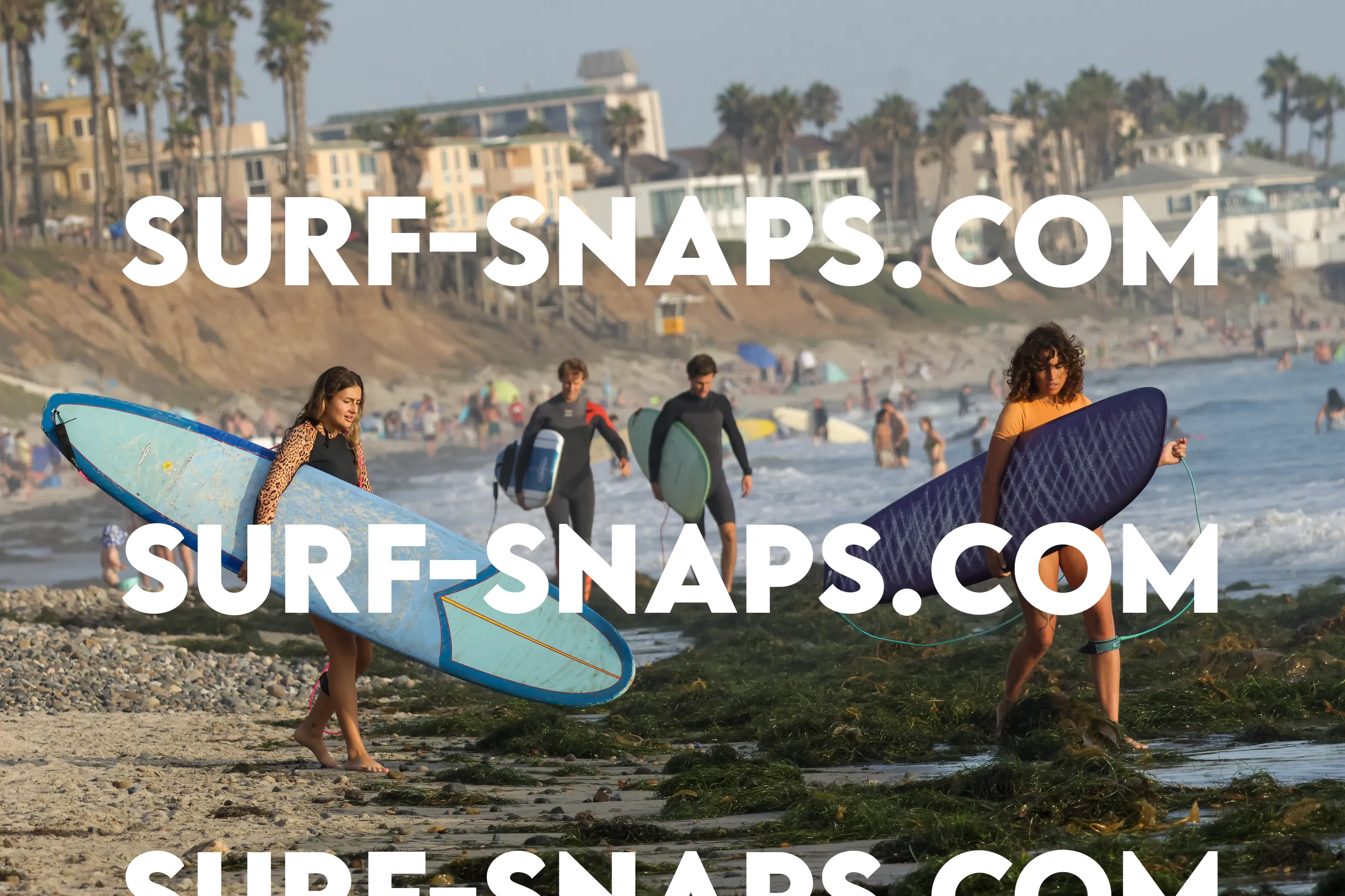 tourmaline Surf park photo 361