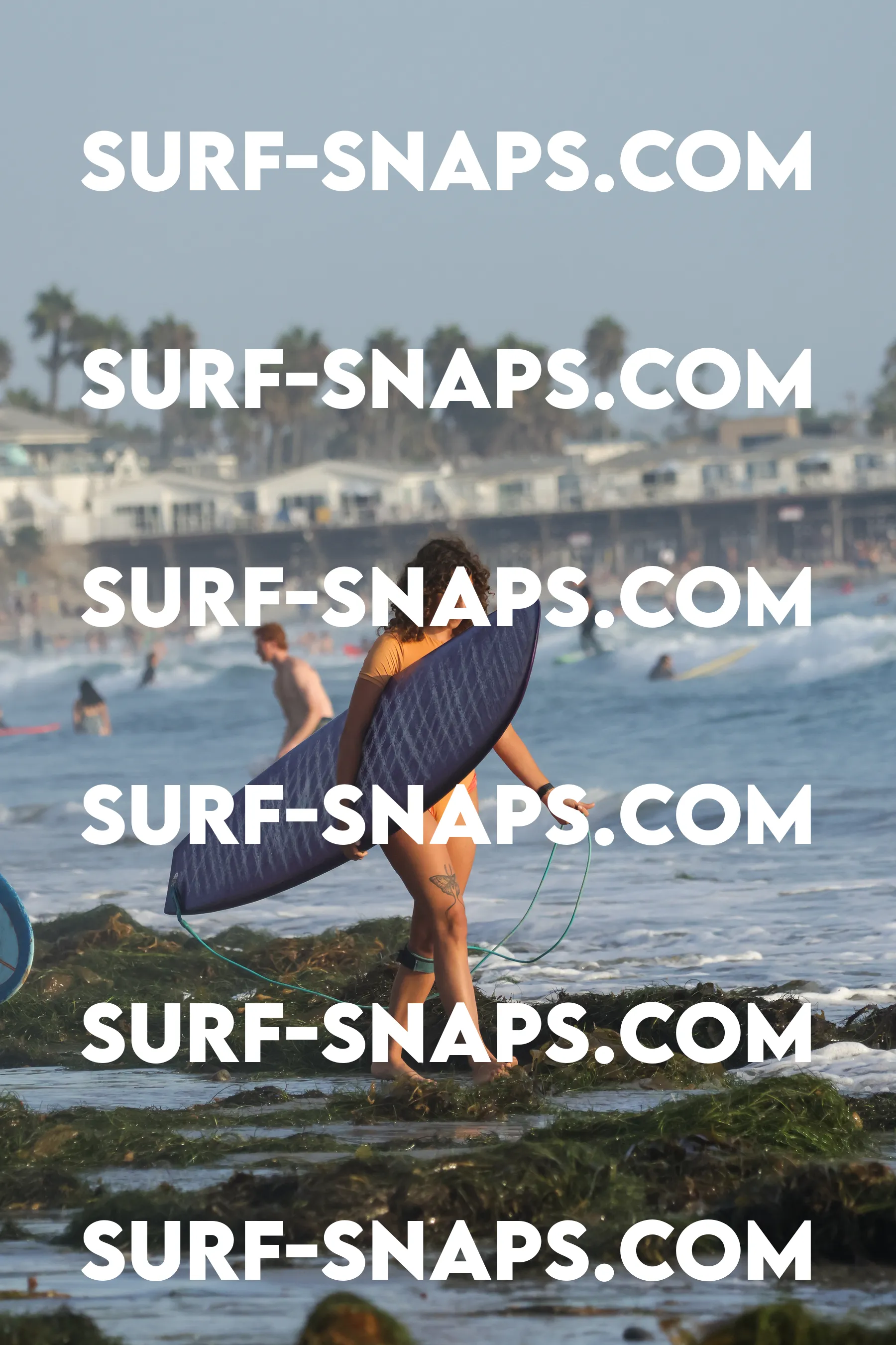 tourmaline Surf park photo 362