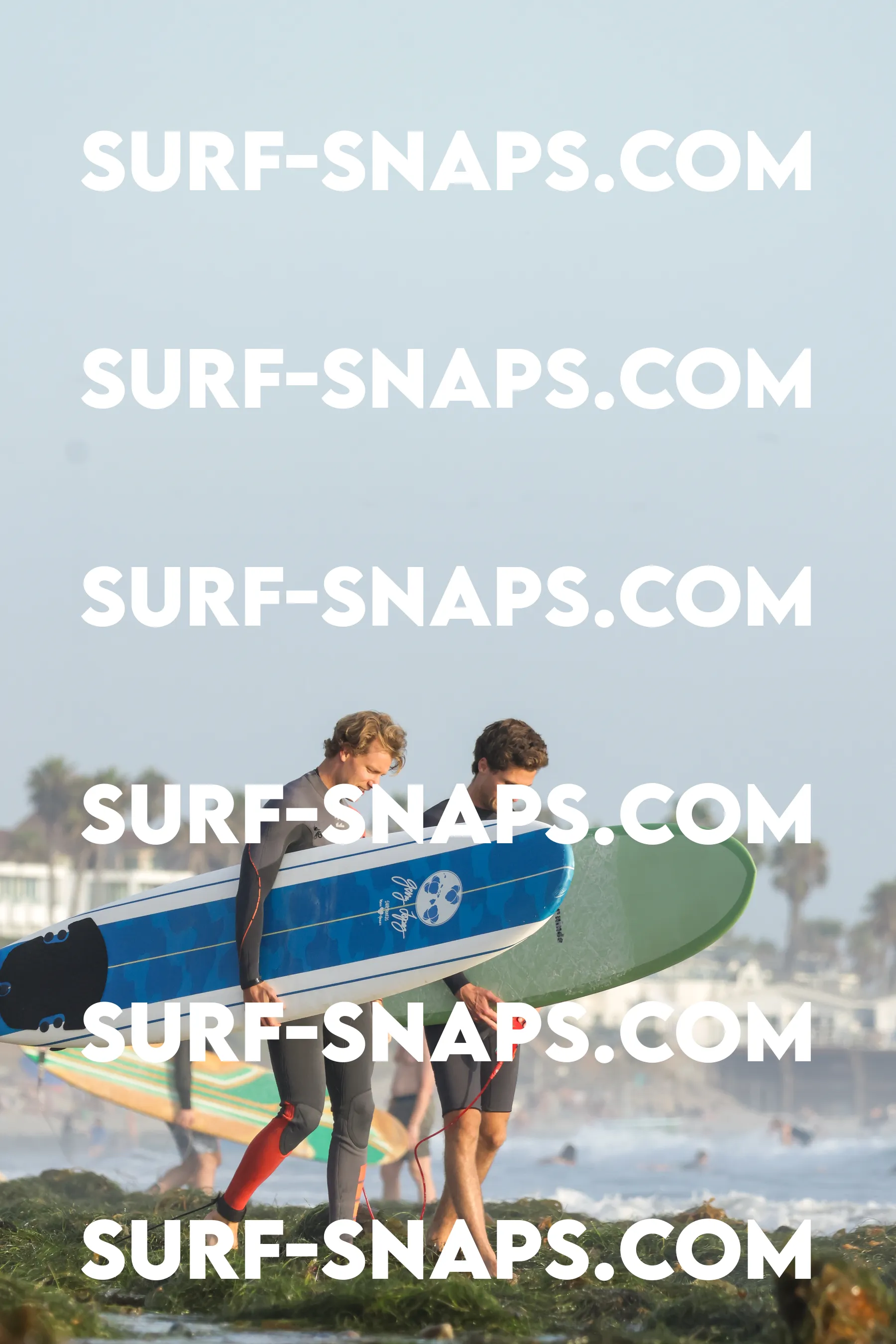 tourmaline Surf park photo 369