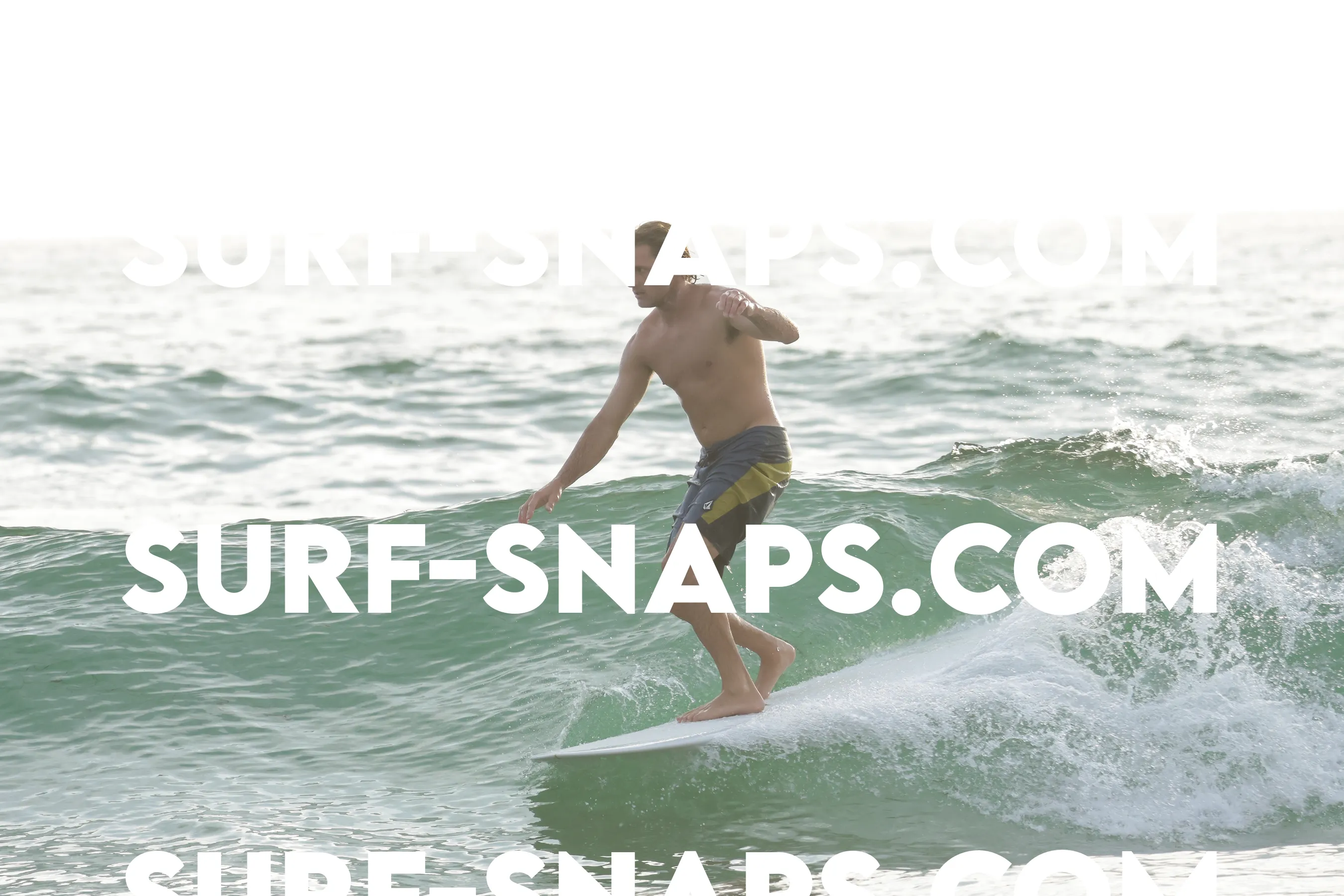 tourmaline Surf park photo 386