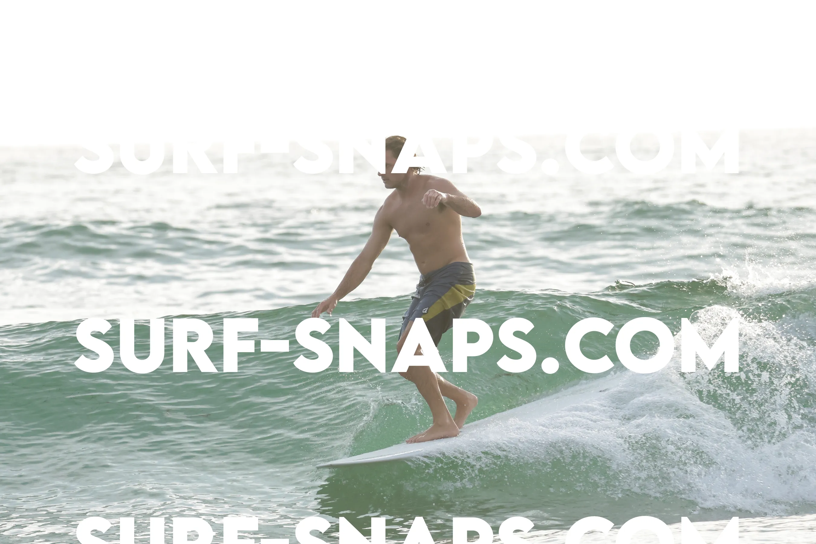 tourmaline Surf park photo 387