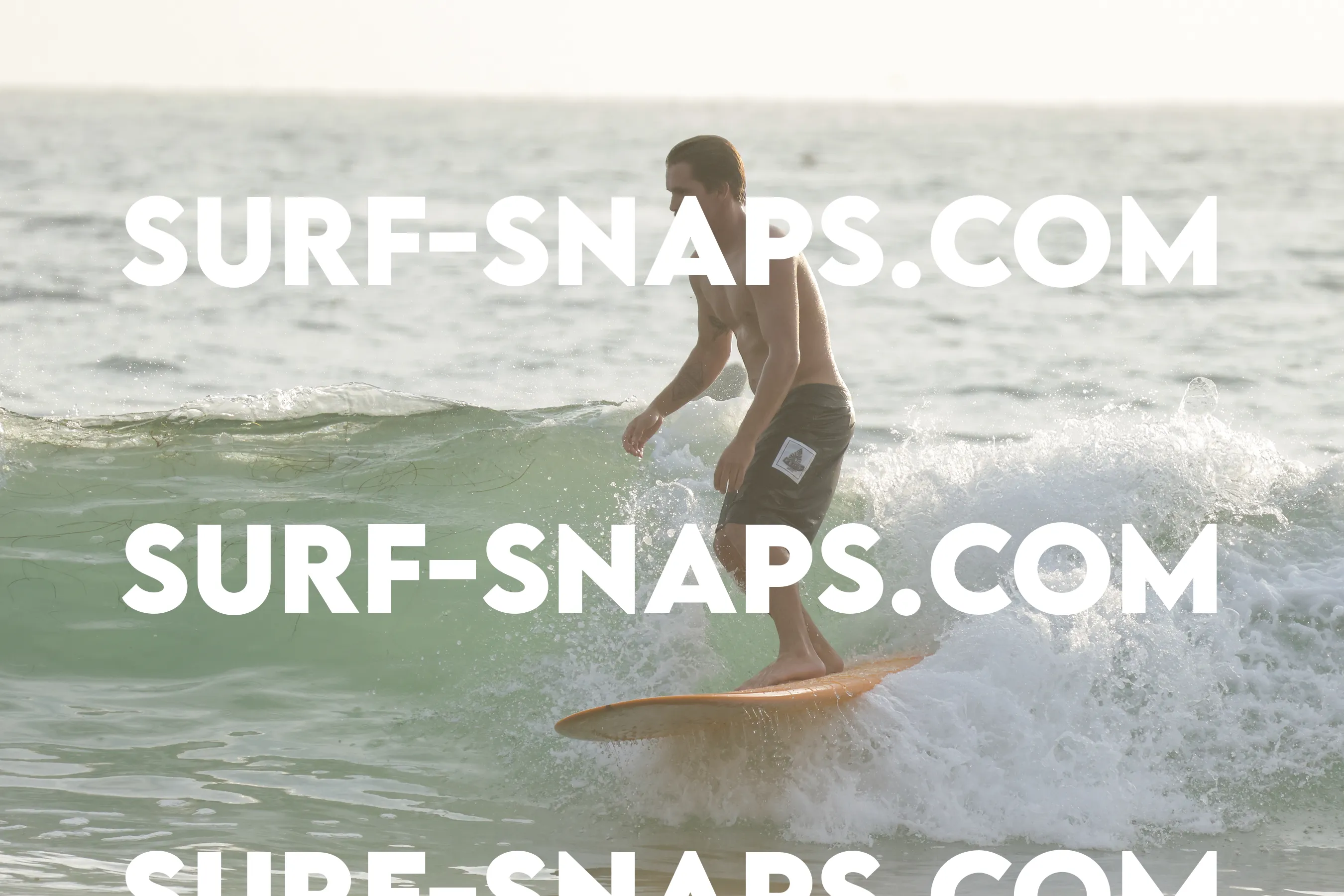 tourmaline Surf park photo 398