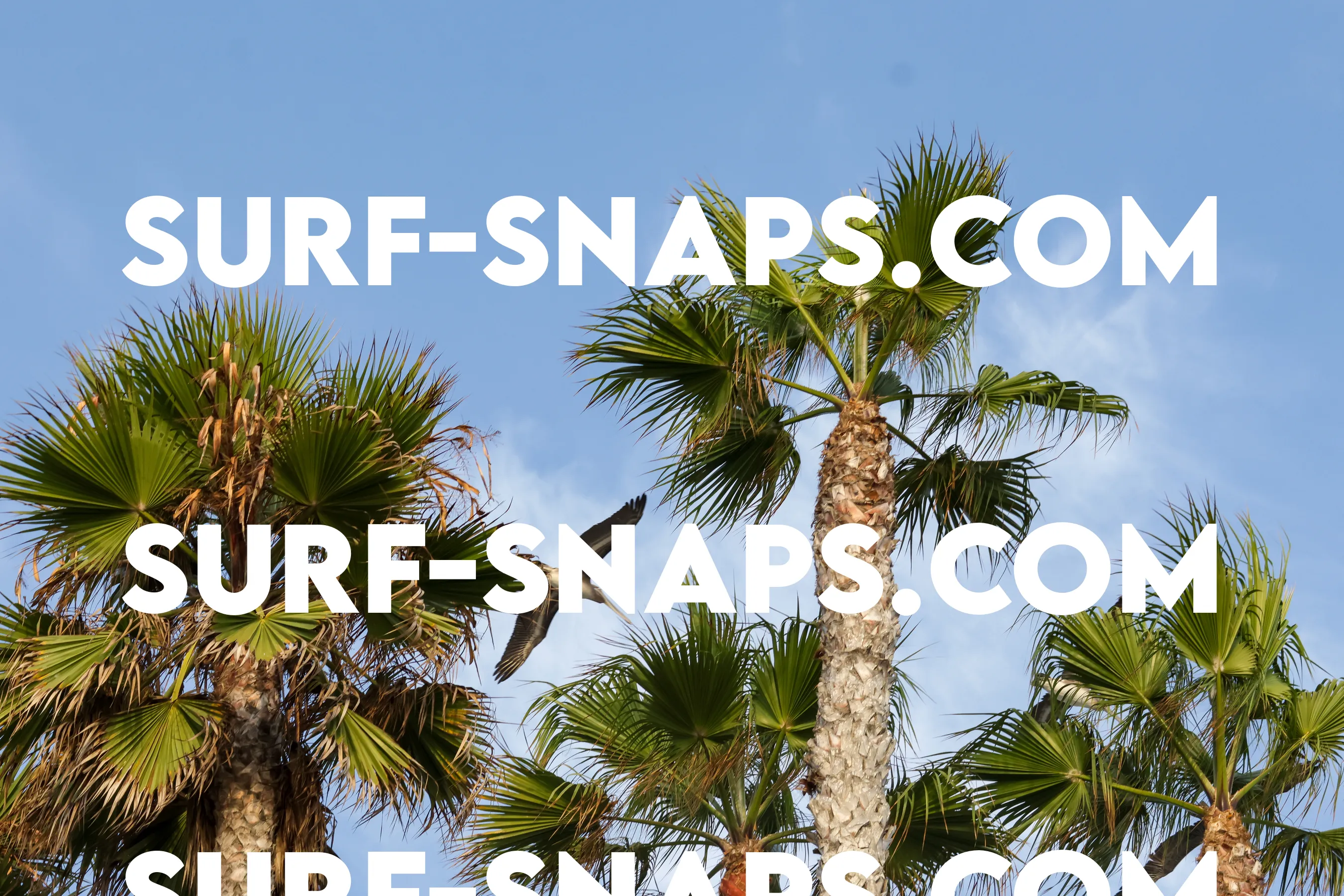 tourmaline Surf park photo 128