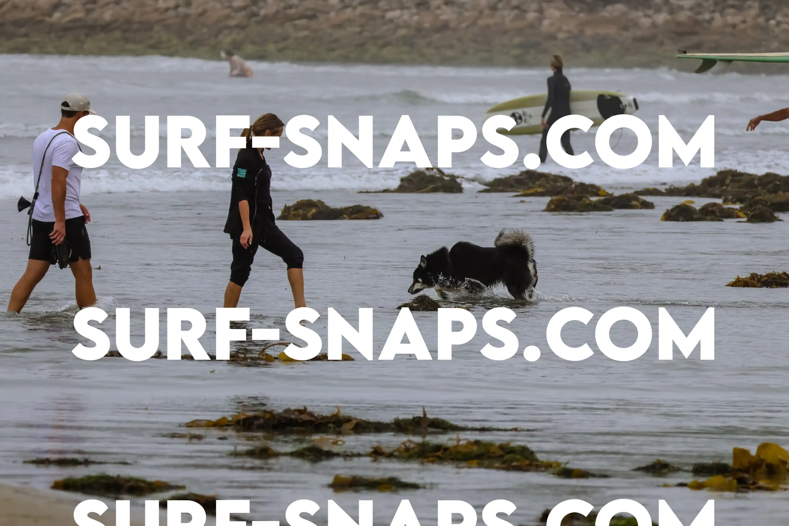 tourmaline Surf park photo 12