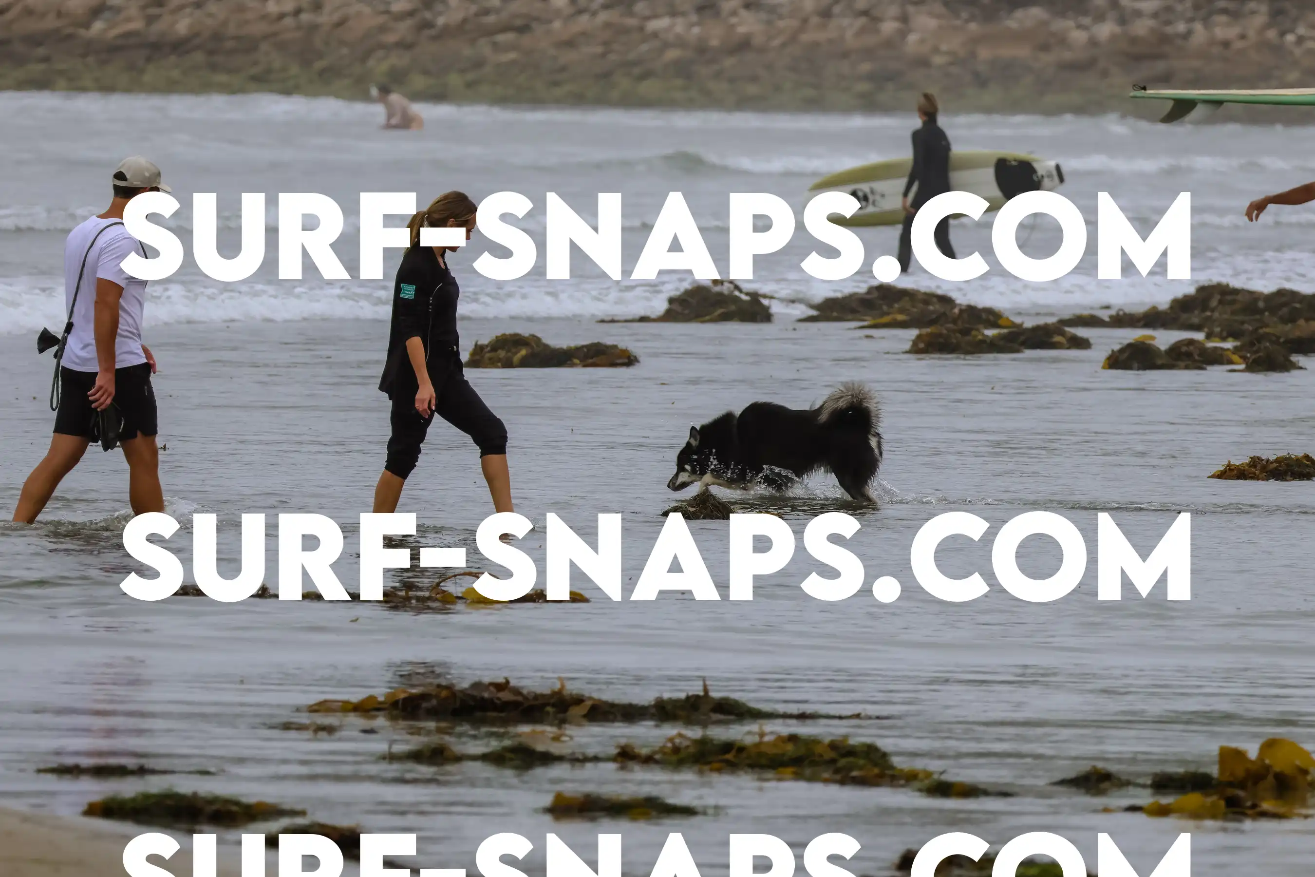 tourmaline Surf park photo 13