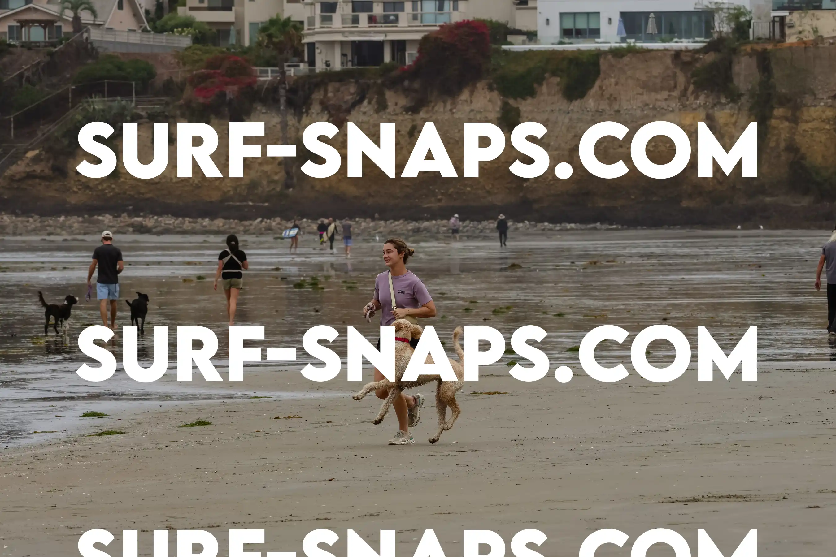 tourmaline Surf park photo 18