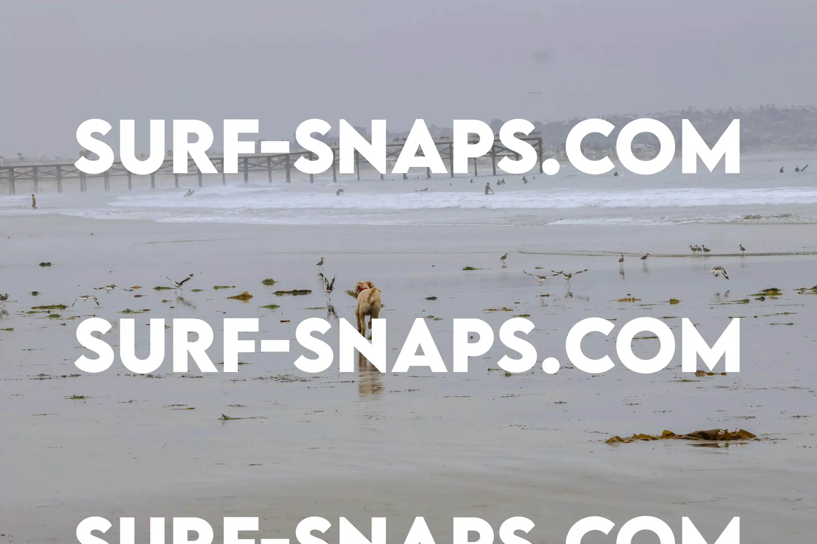 tourmaline Surf park photo 21