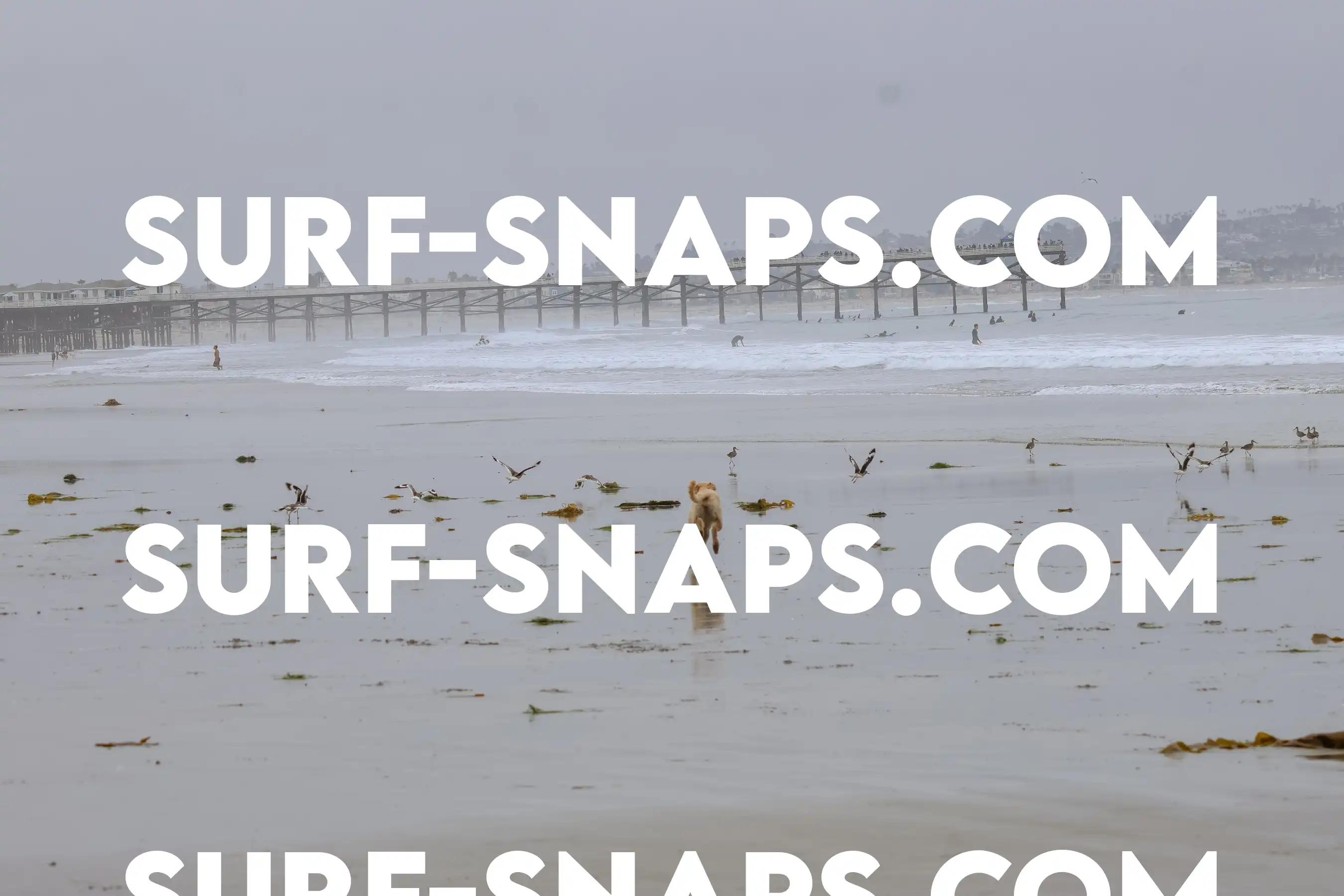 tourmaline Surf park photo 23