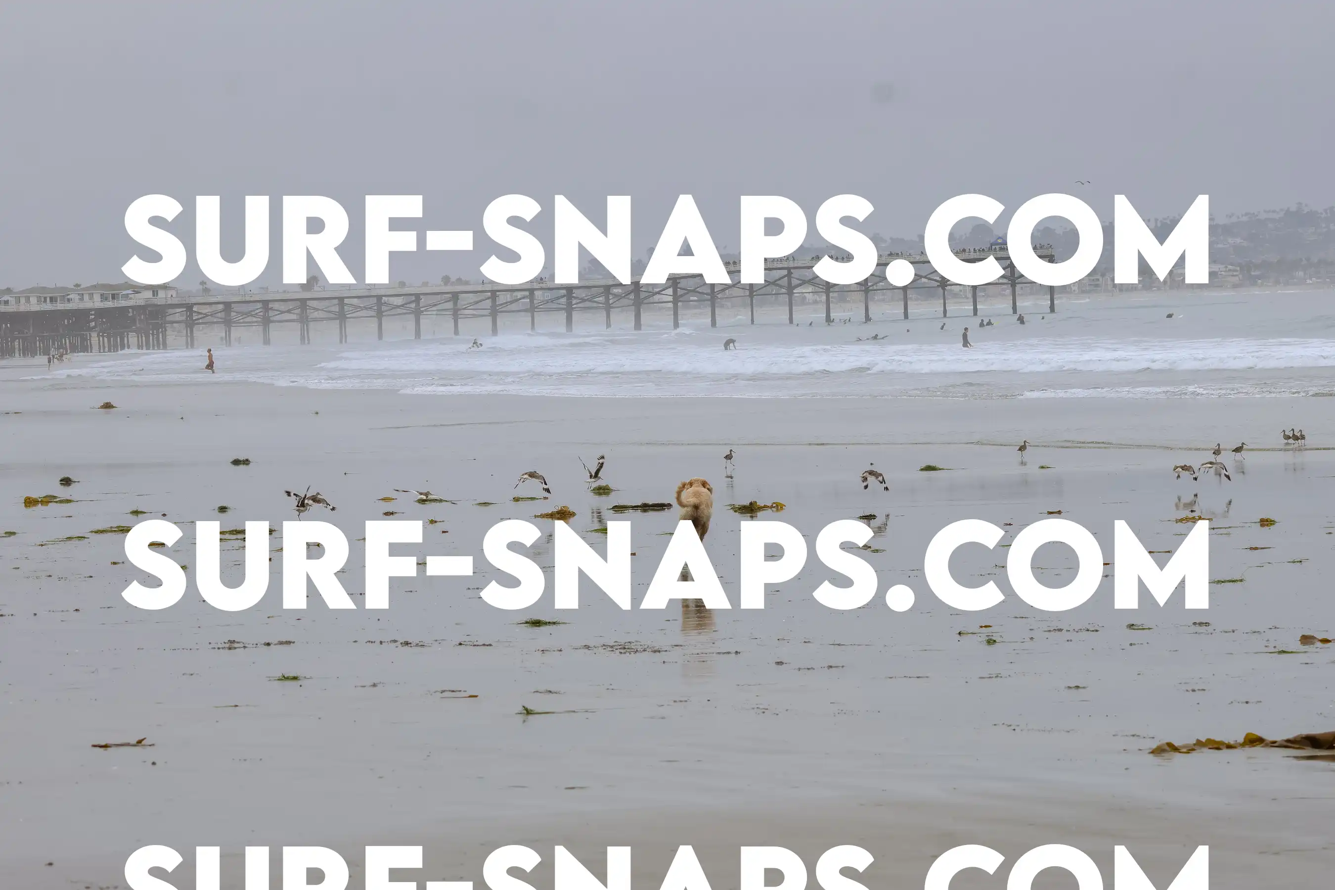 tourmaline Surf park photo 24