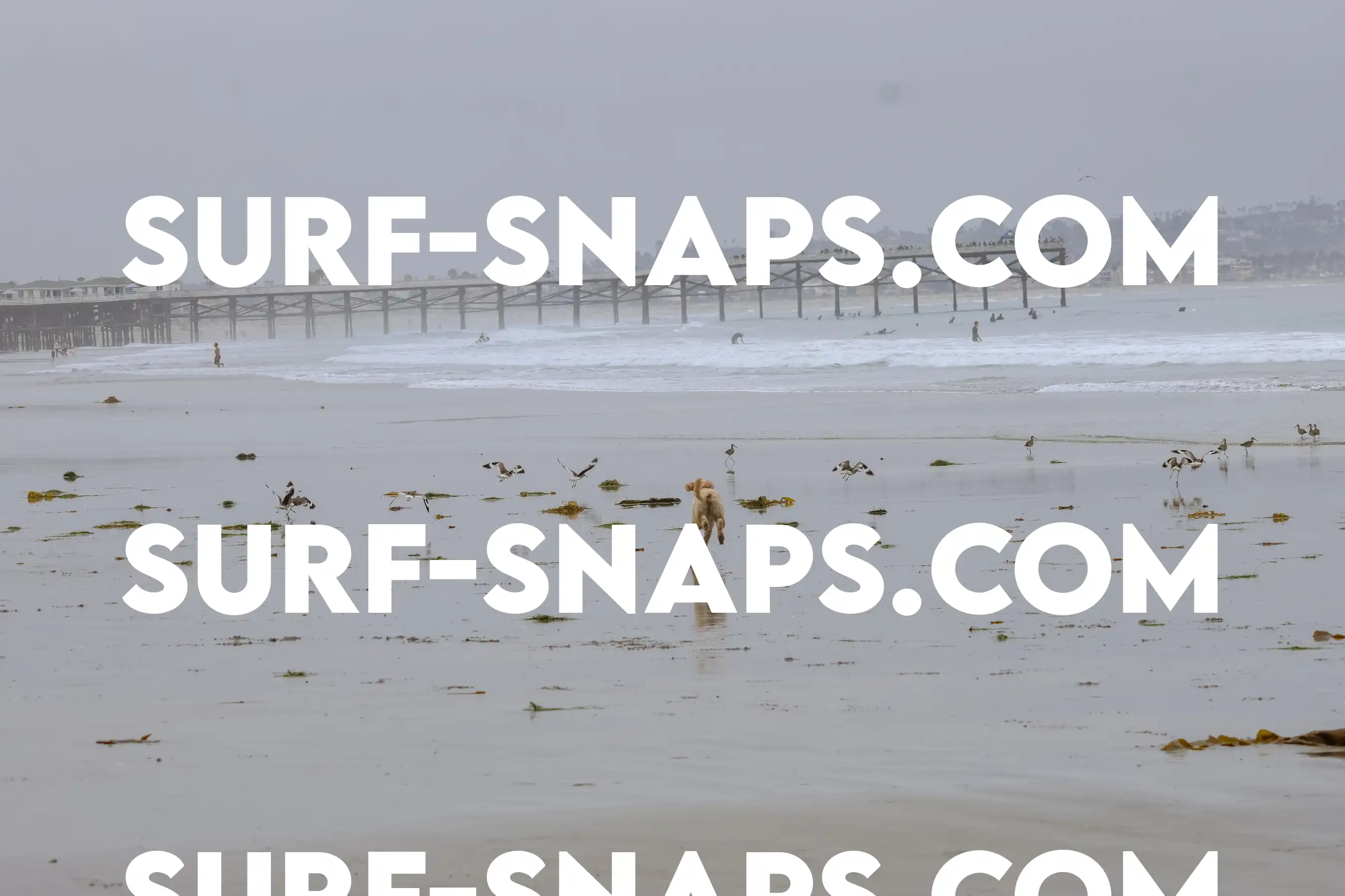 tourmaline Surf park photo 22