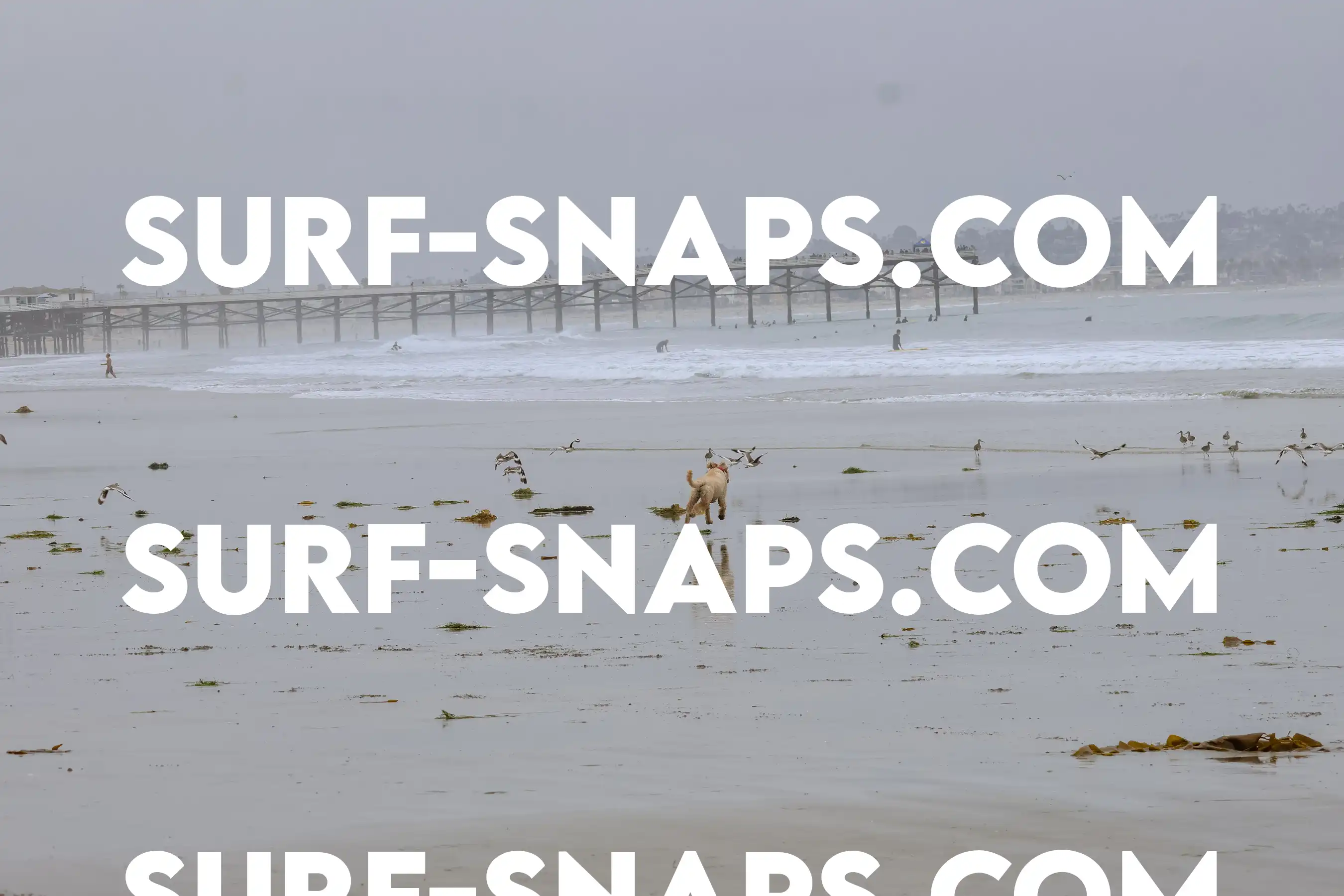 tourmaline Surf park photo 26