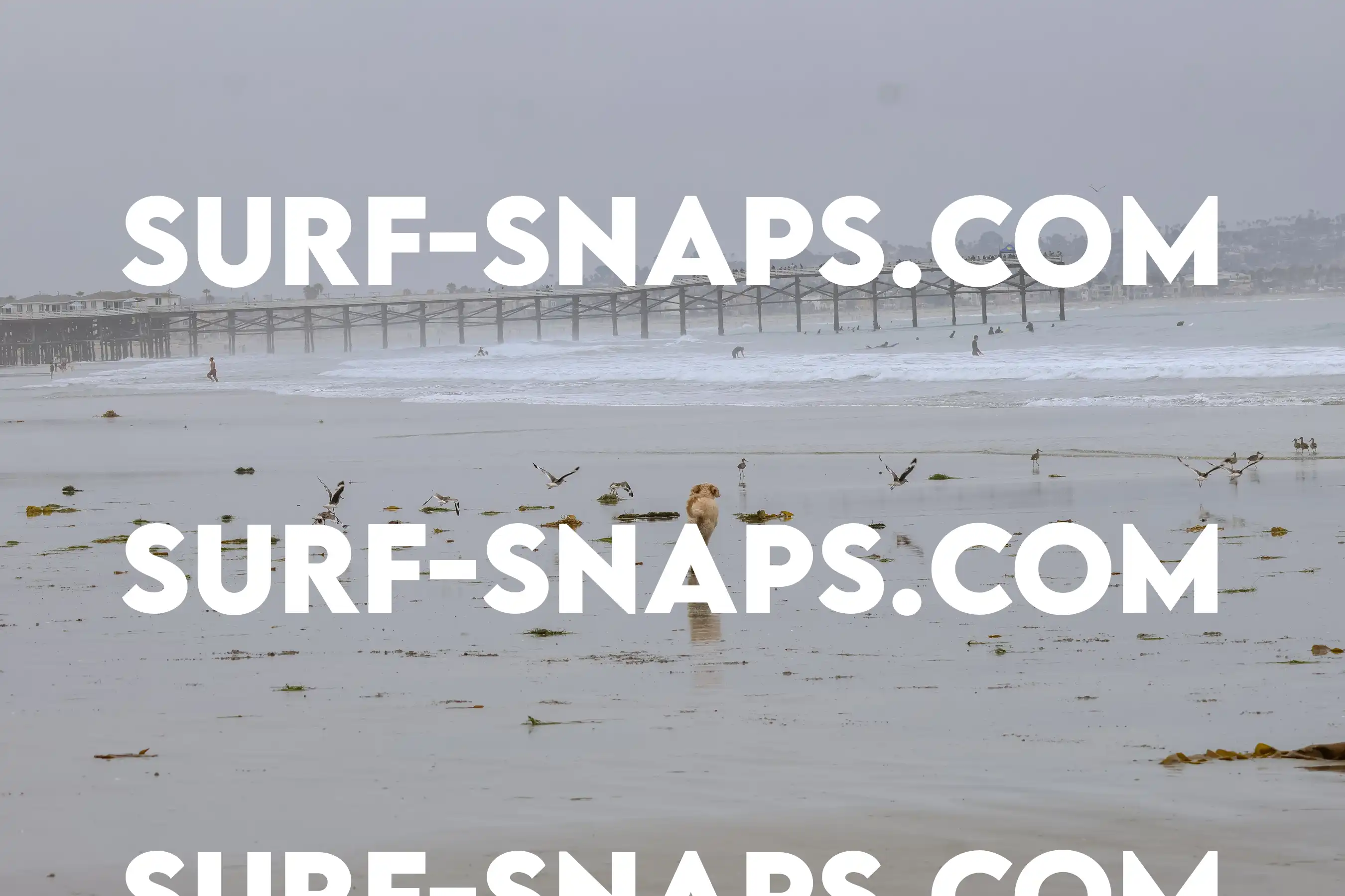 tourmaline Surf park photo 25