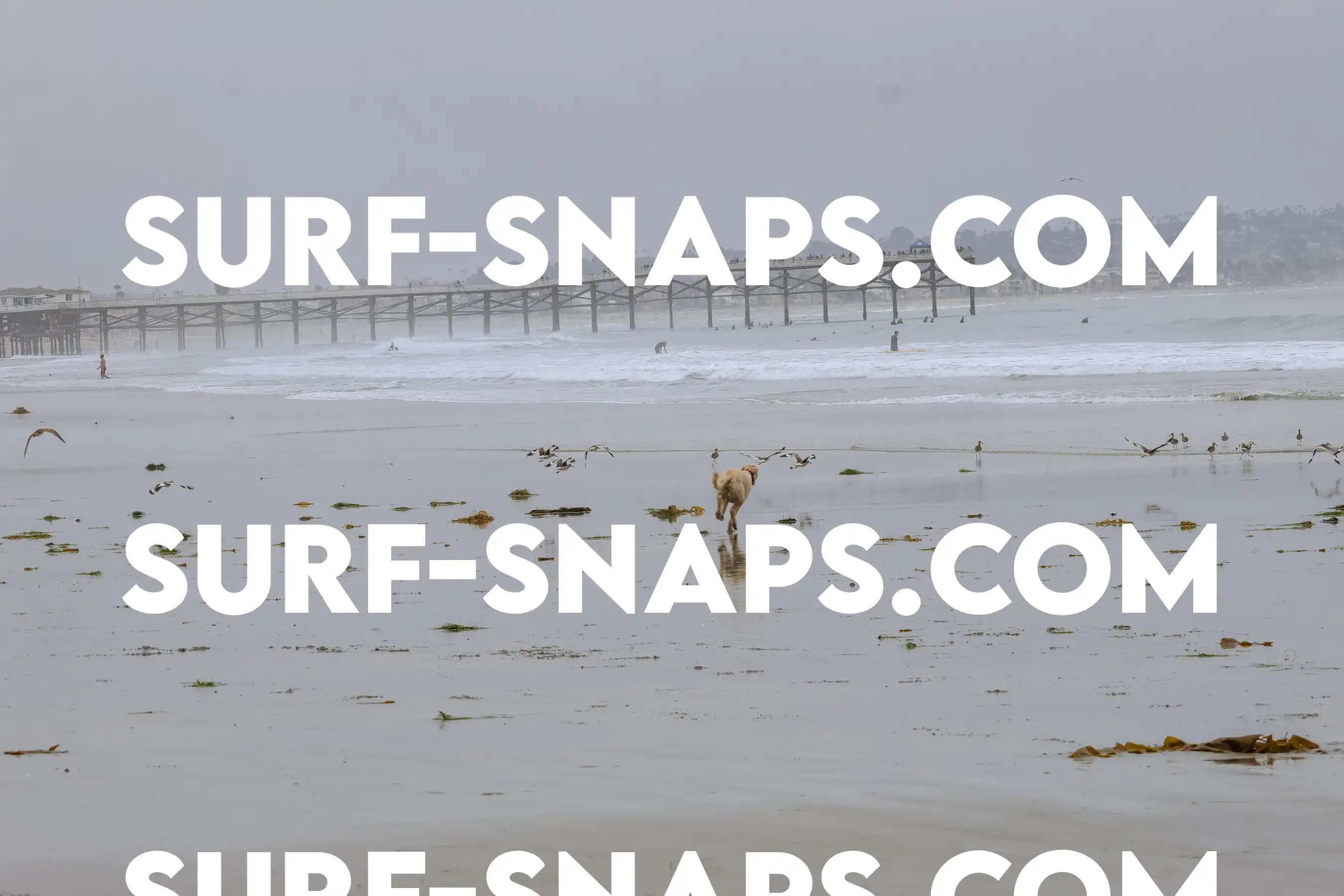 tourmaline Surf park photo 28