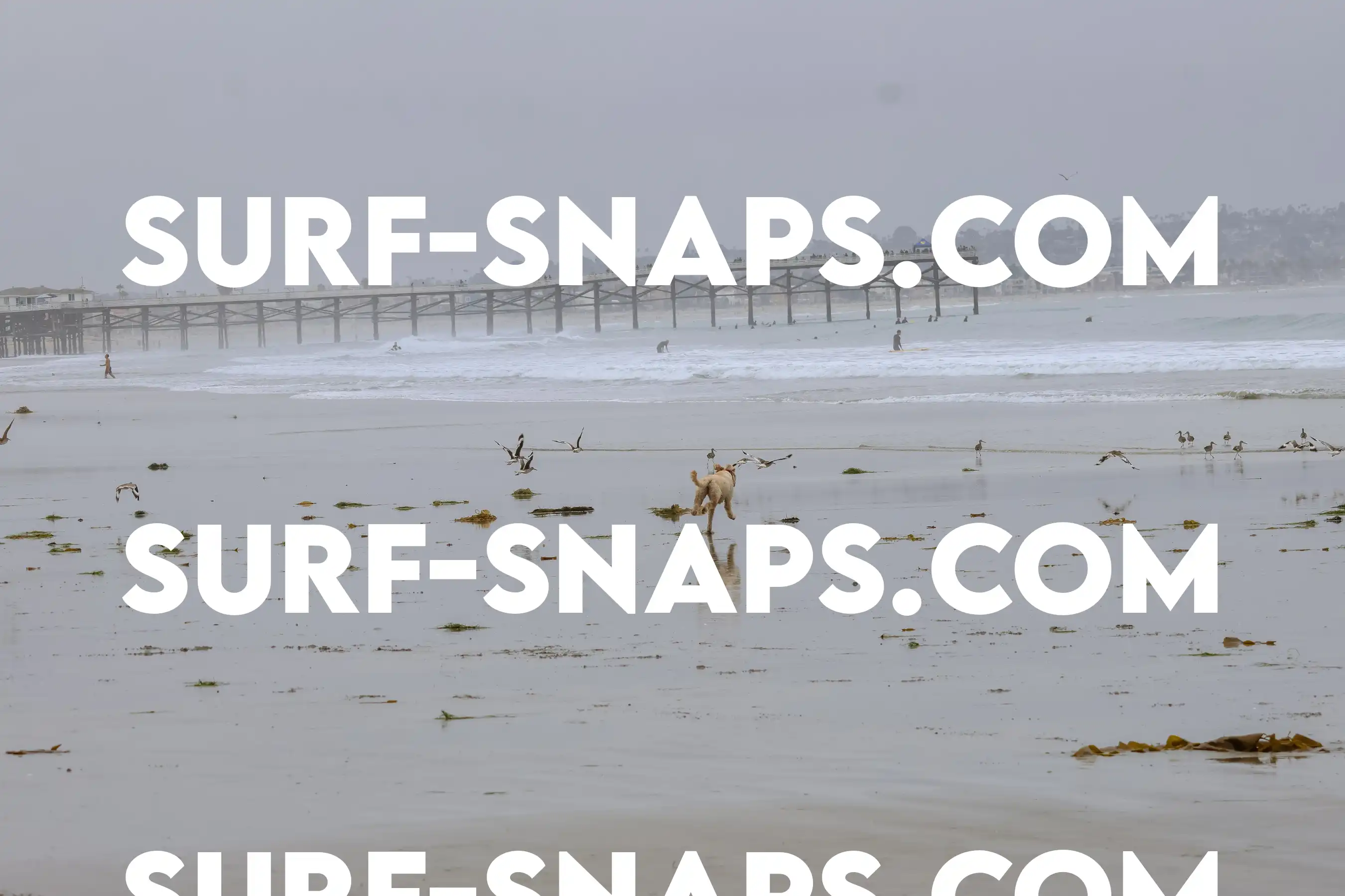 tourmaline Surf park photo 27