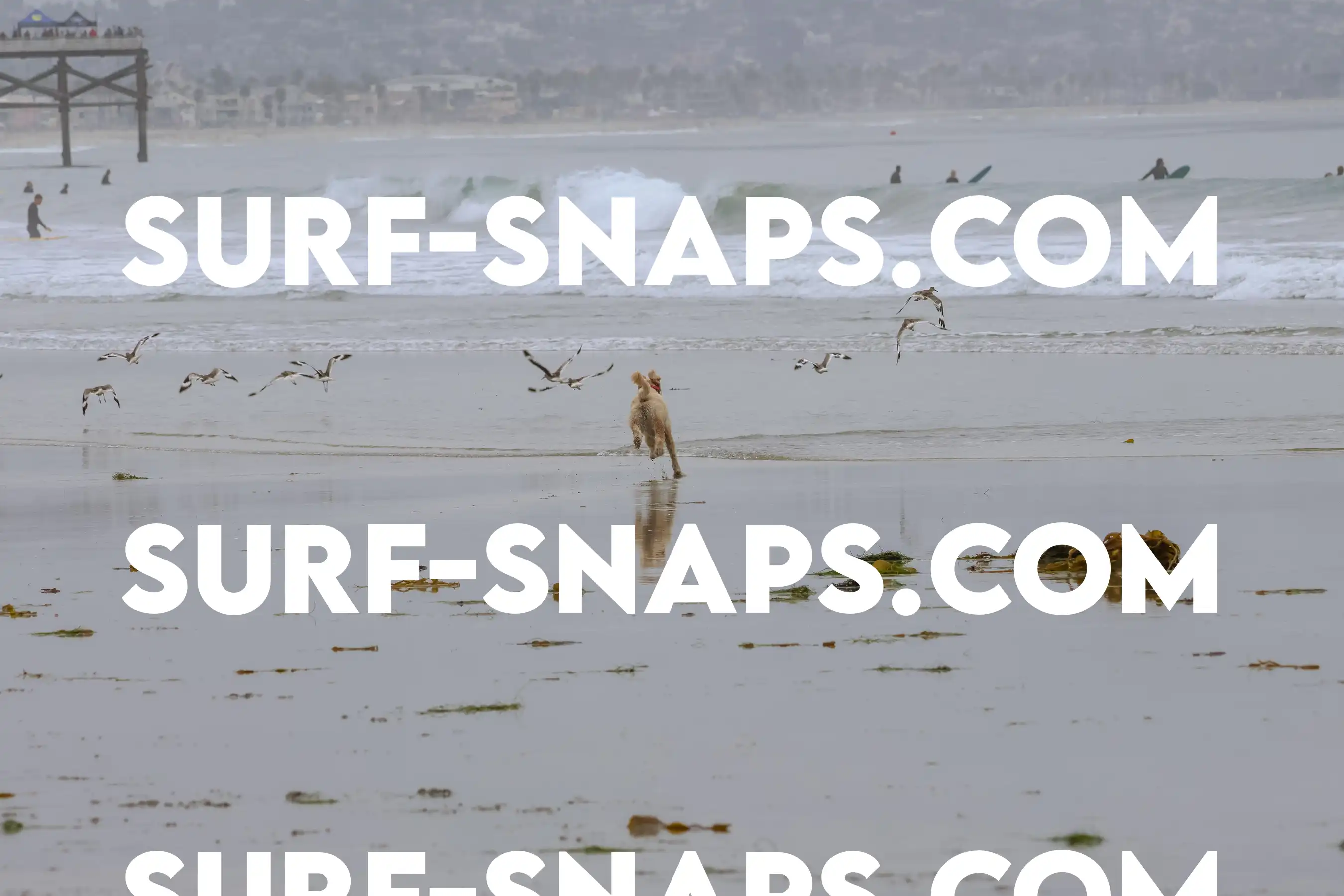 tourmaline Surf park photo 30