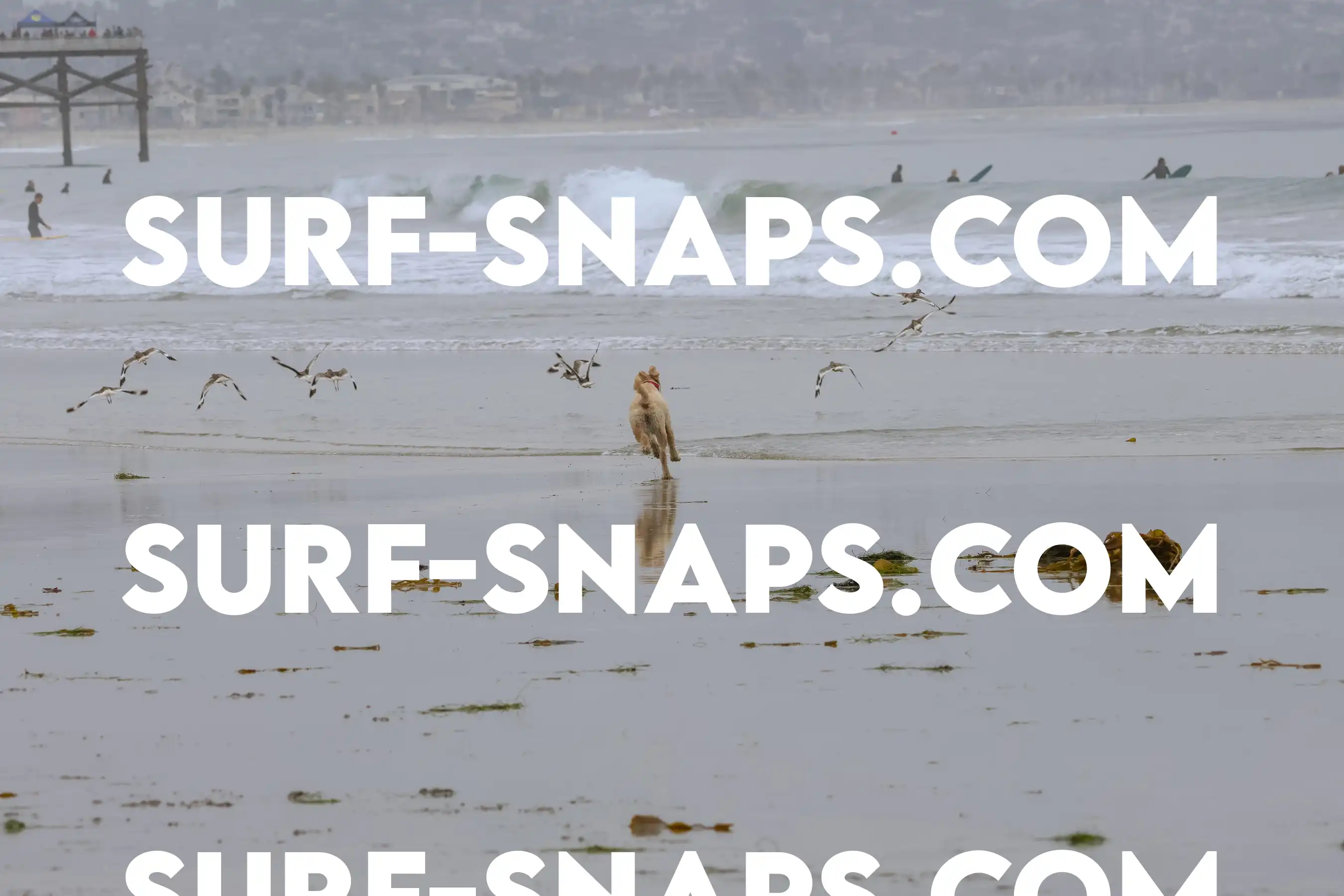 tourmaline Surf park photo 29