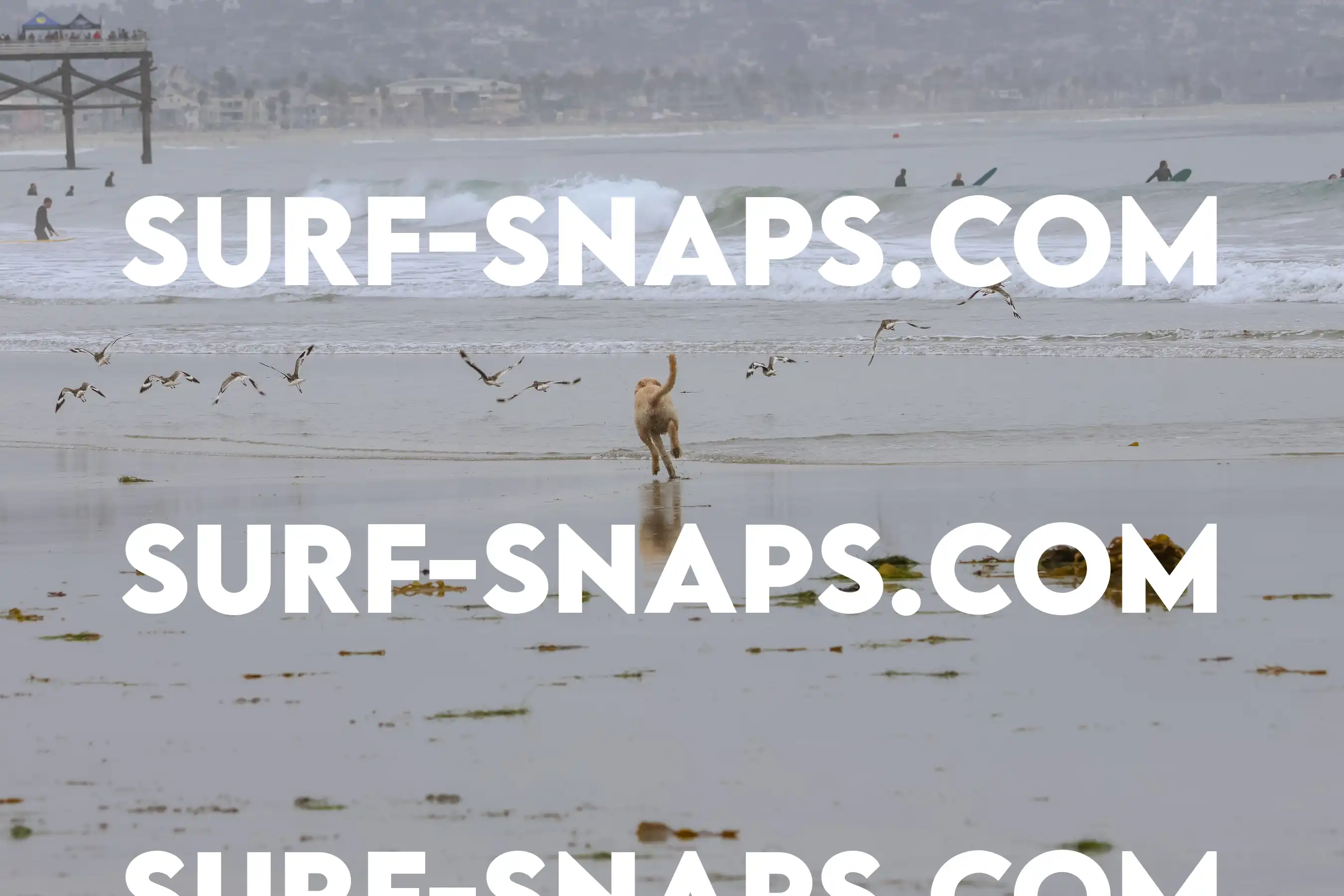 tourmaline Surf park photo 32