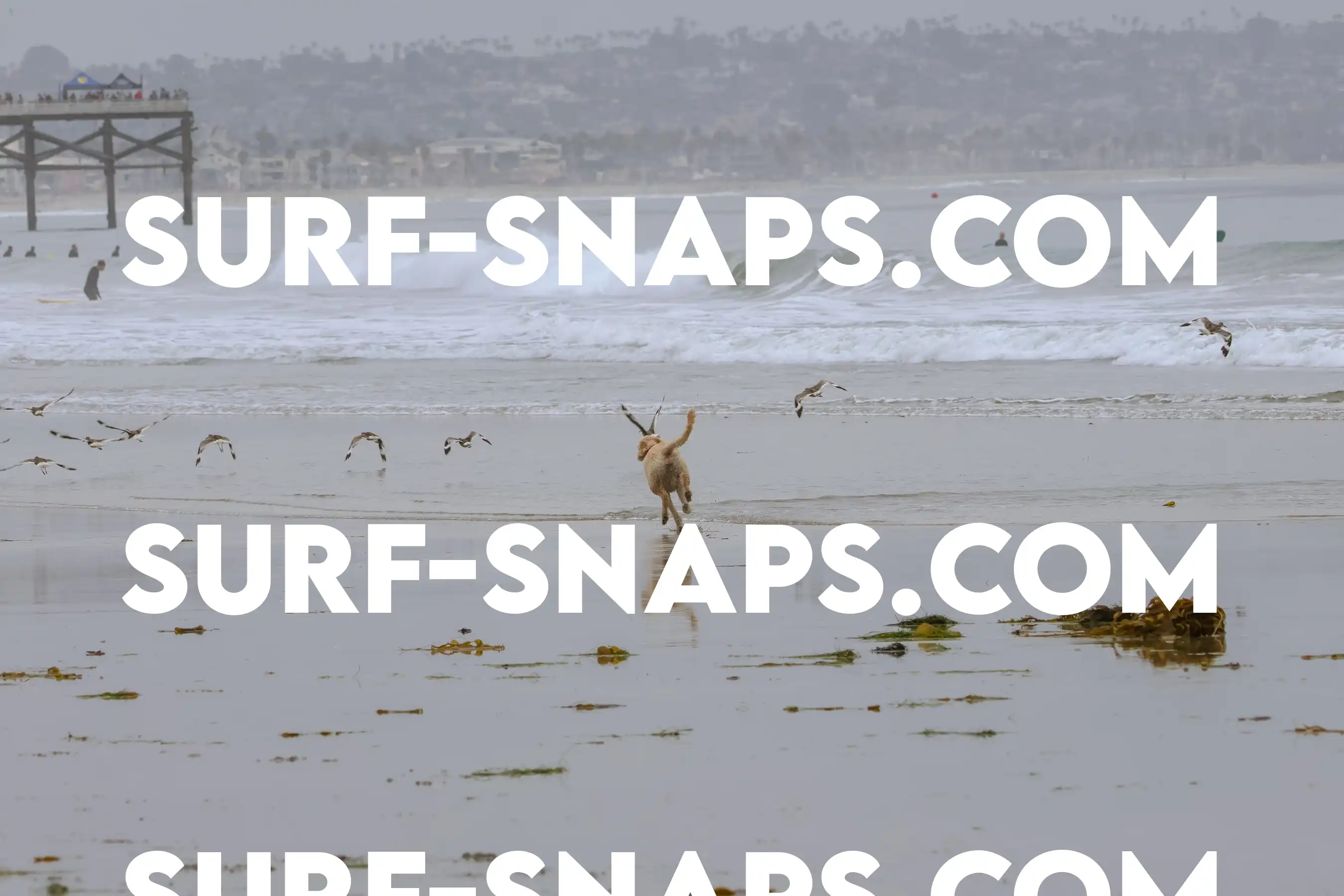 tourmaline Surf park photo 33
