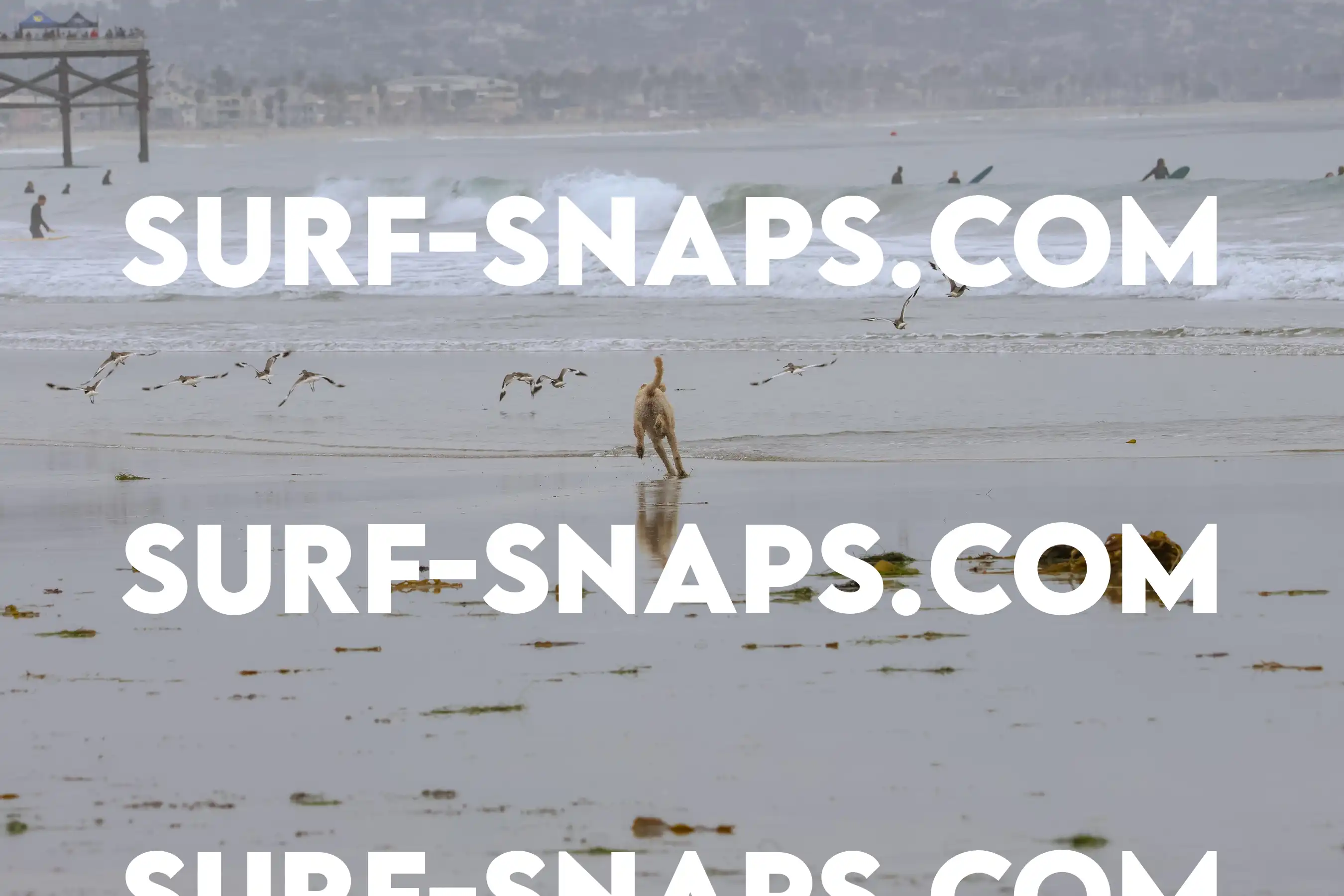 tourmaline Surf park photo 31