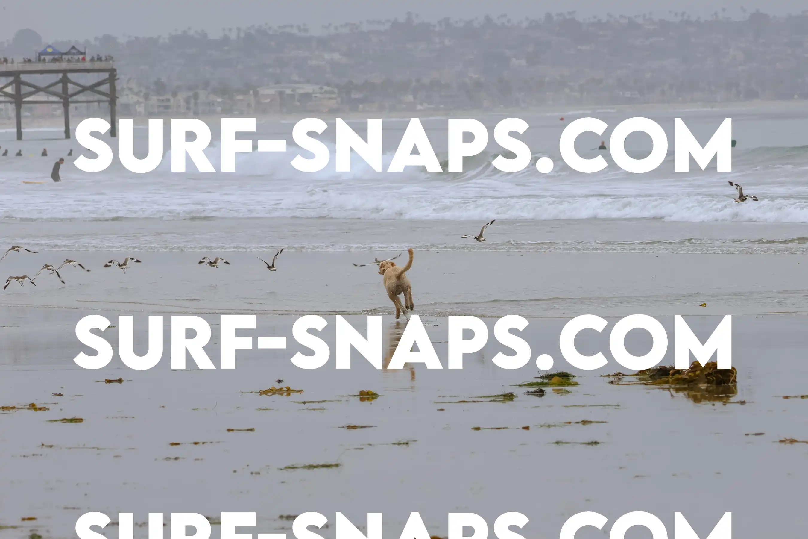 tourmaline Surf park photo 34