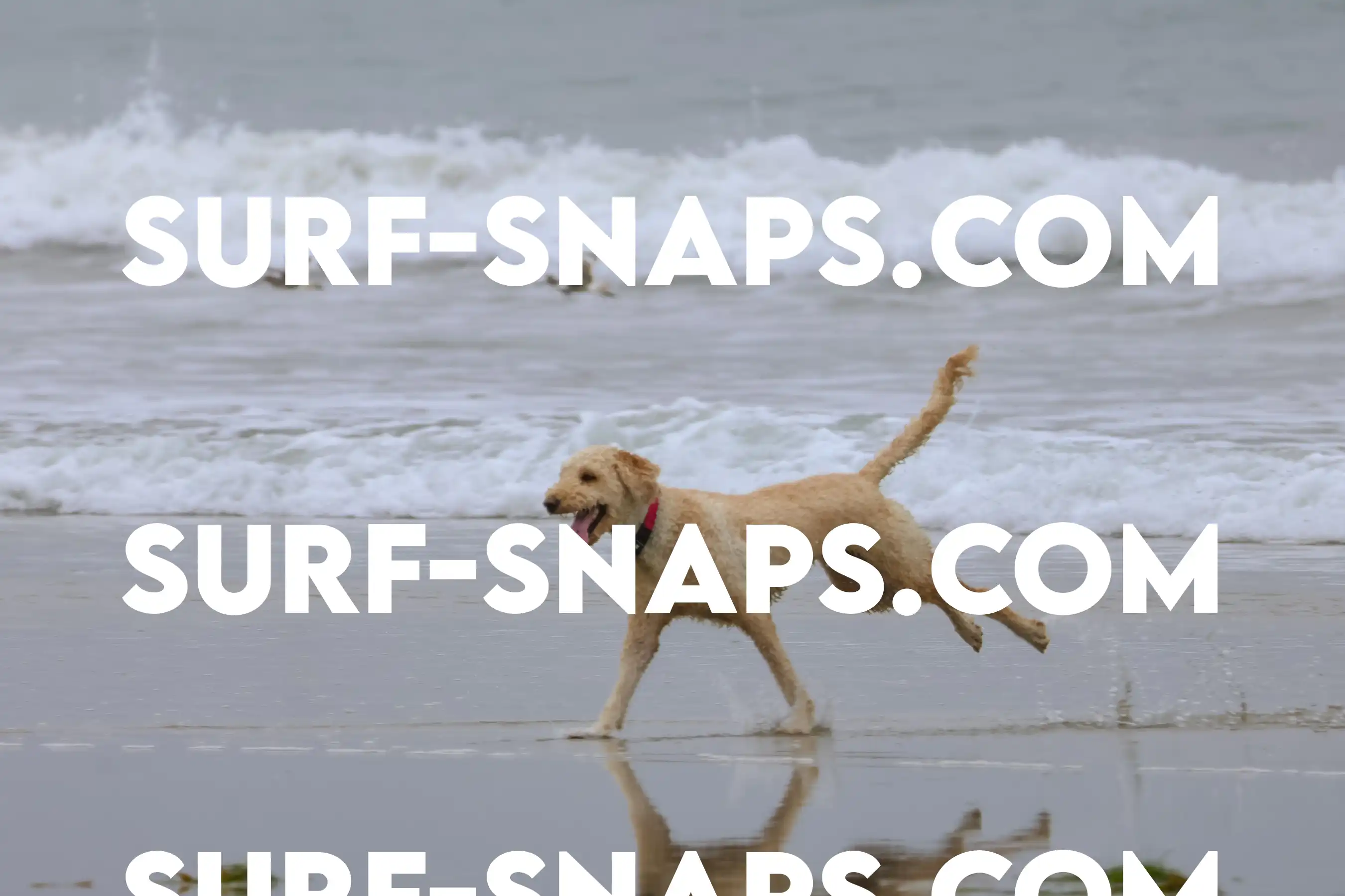 tourmaline Surf park photo 36