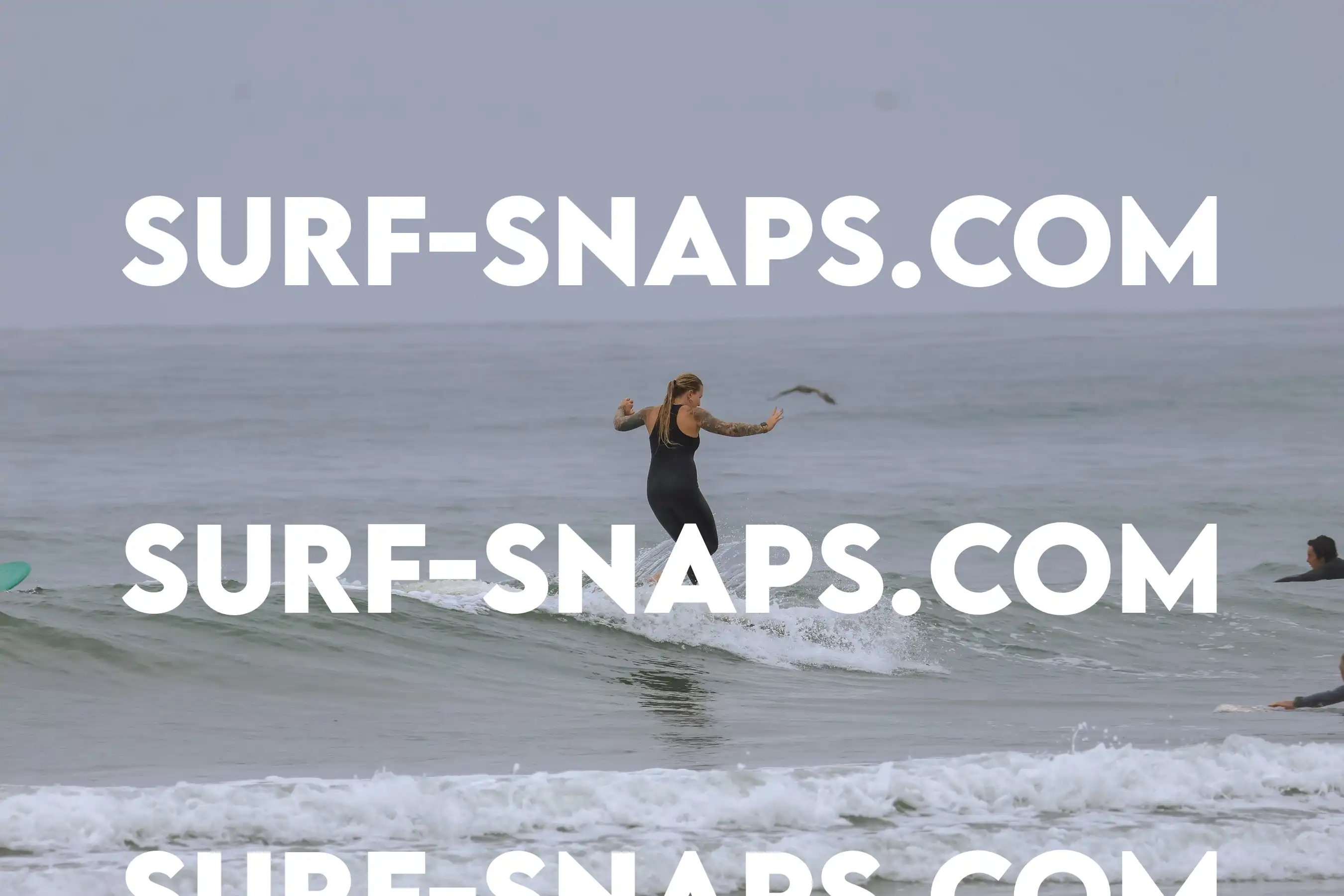 tourmaline Surf park photo 148