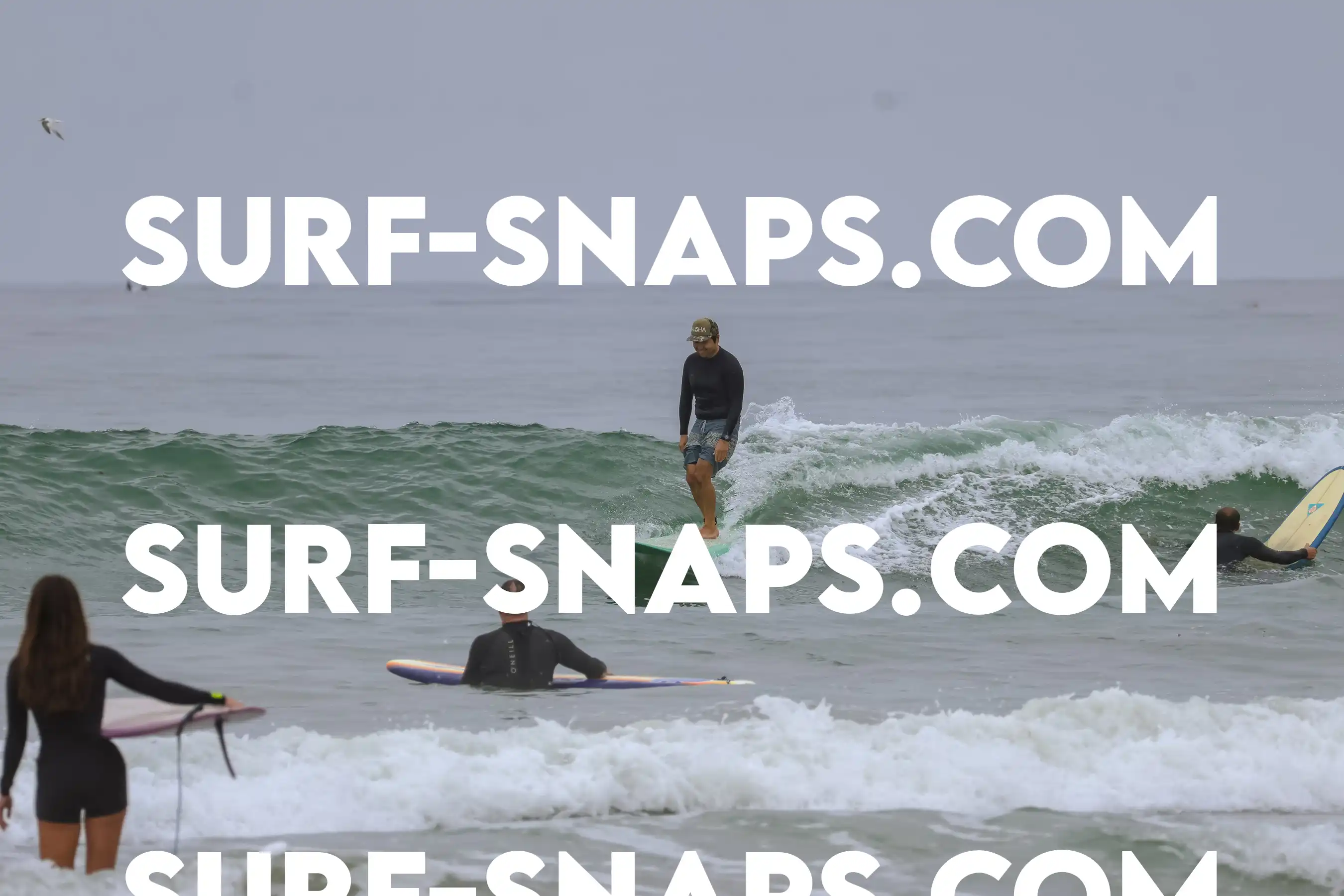 tourmaline Surf park photo 160