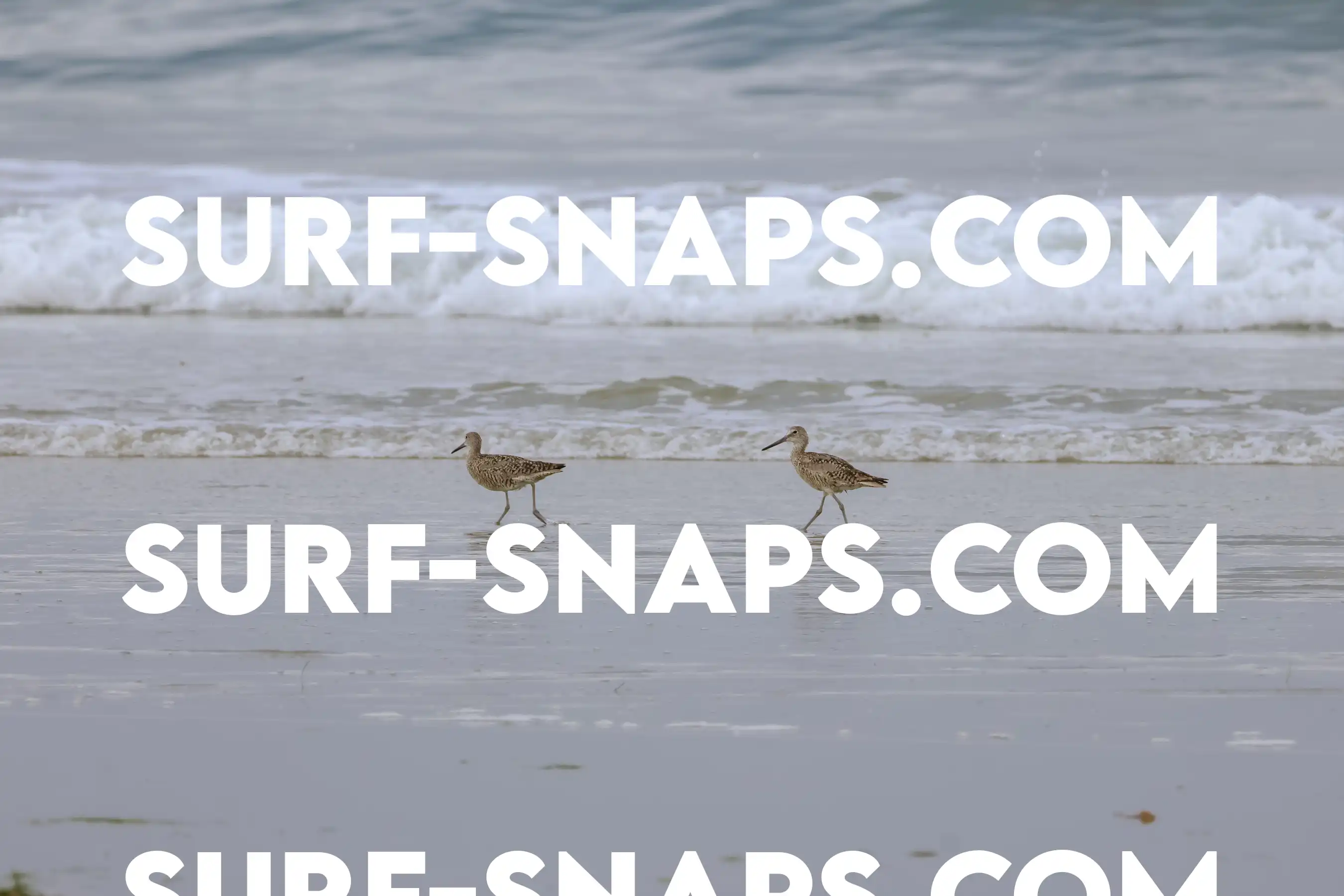 tourmaline Surf park photo 304