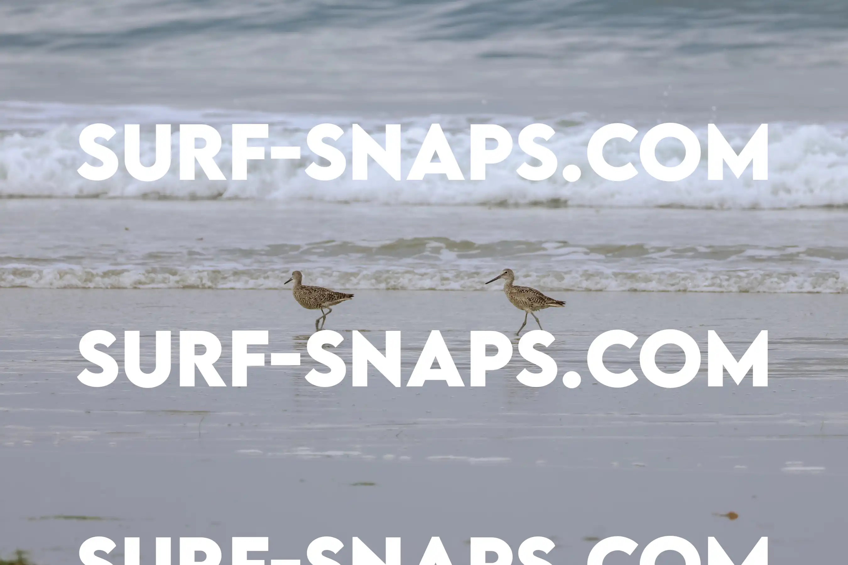 tourmaline Surf park photo 305